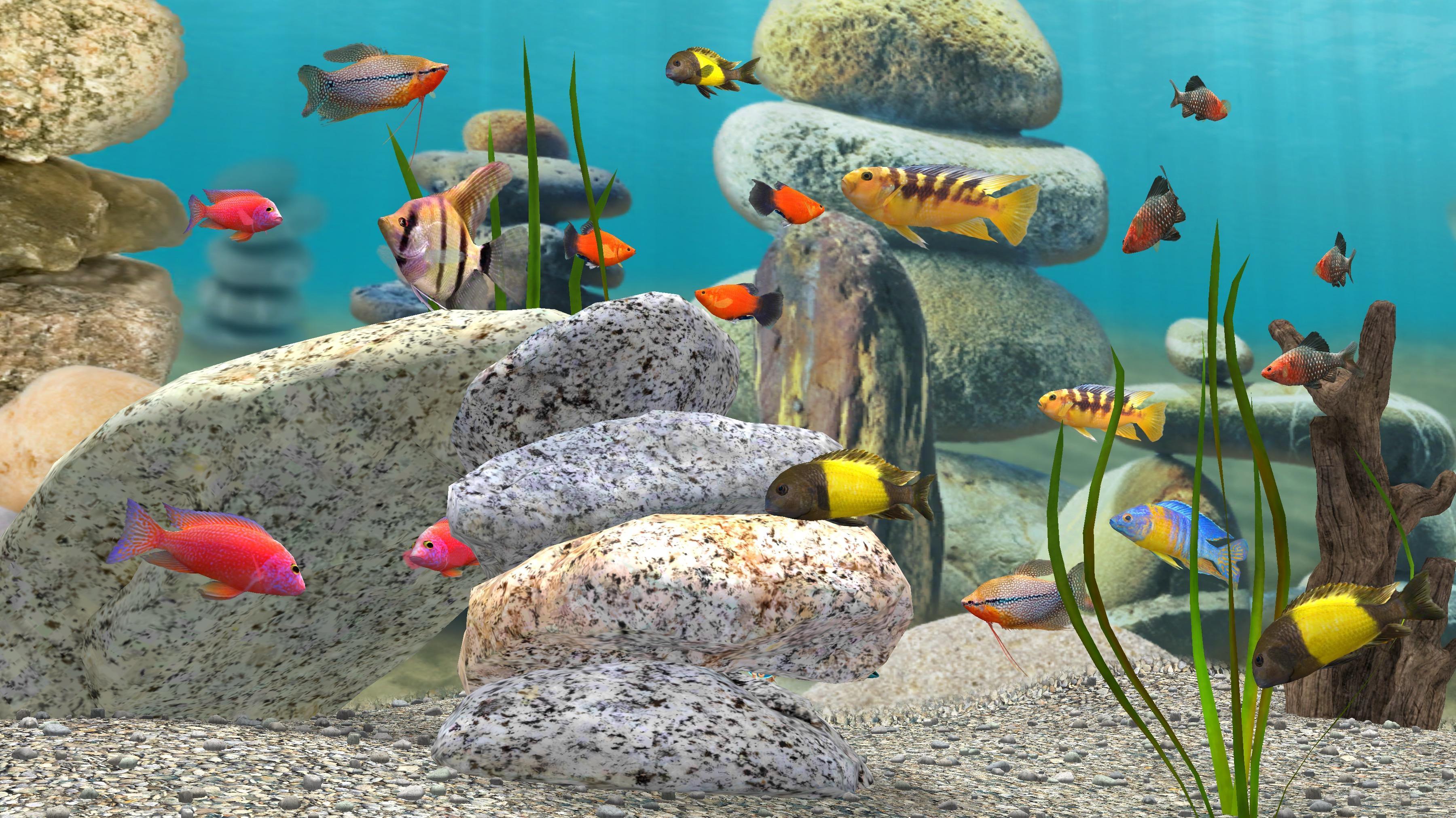 Live Aquarium Wallpapers - Top Free Live Aquarium Backgrounds -  WallpaperAccess