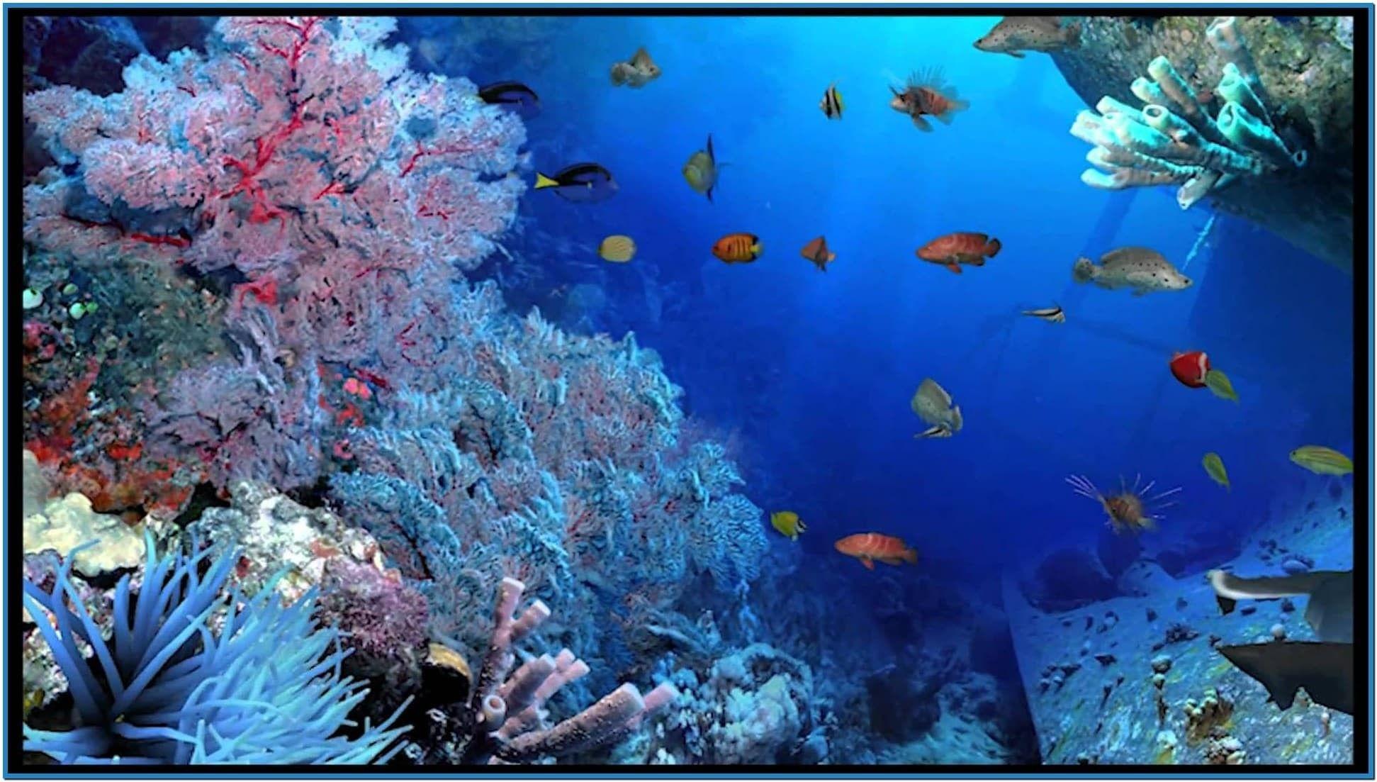 Aquarium Wallpaper 3d Pic Image Num 80