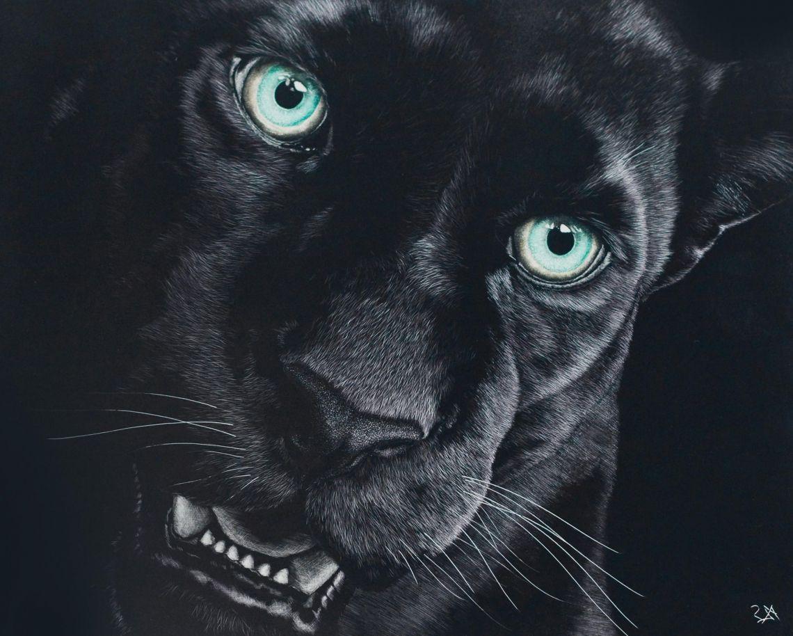 1140x914 Free photo of Black Jaguar Wallpaper HD Download