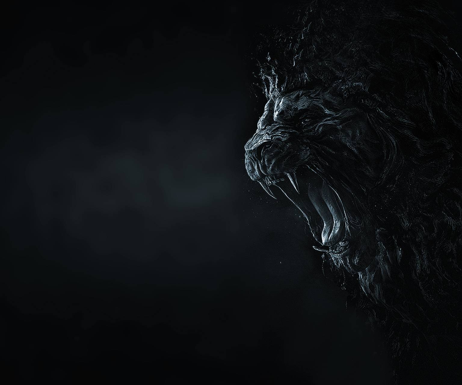 Black Lion HD Wallpapers Top Free Black Lion HD Backgrounds WallpaperAccess