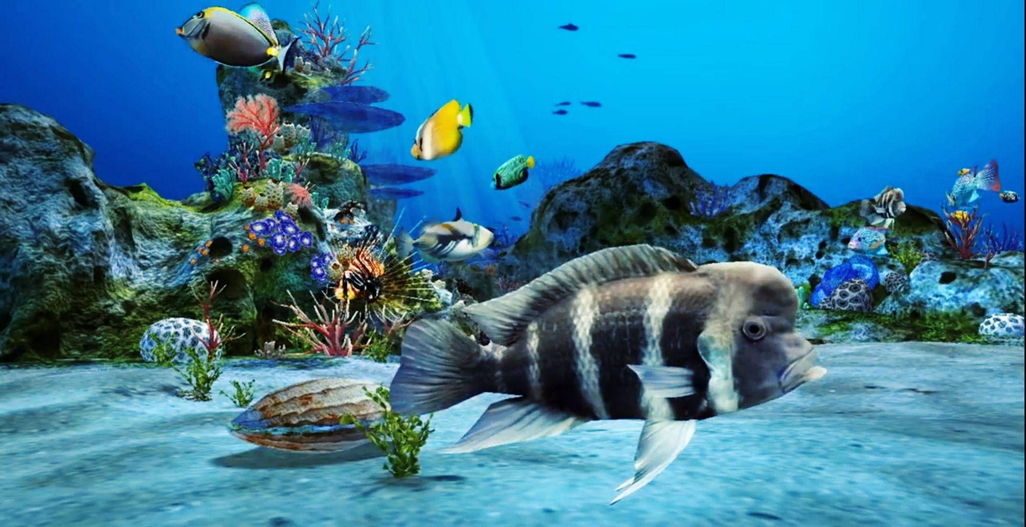 desktop aquarium 3d live wallpaper on mac free download