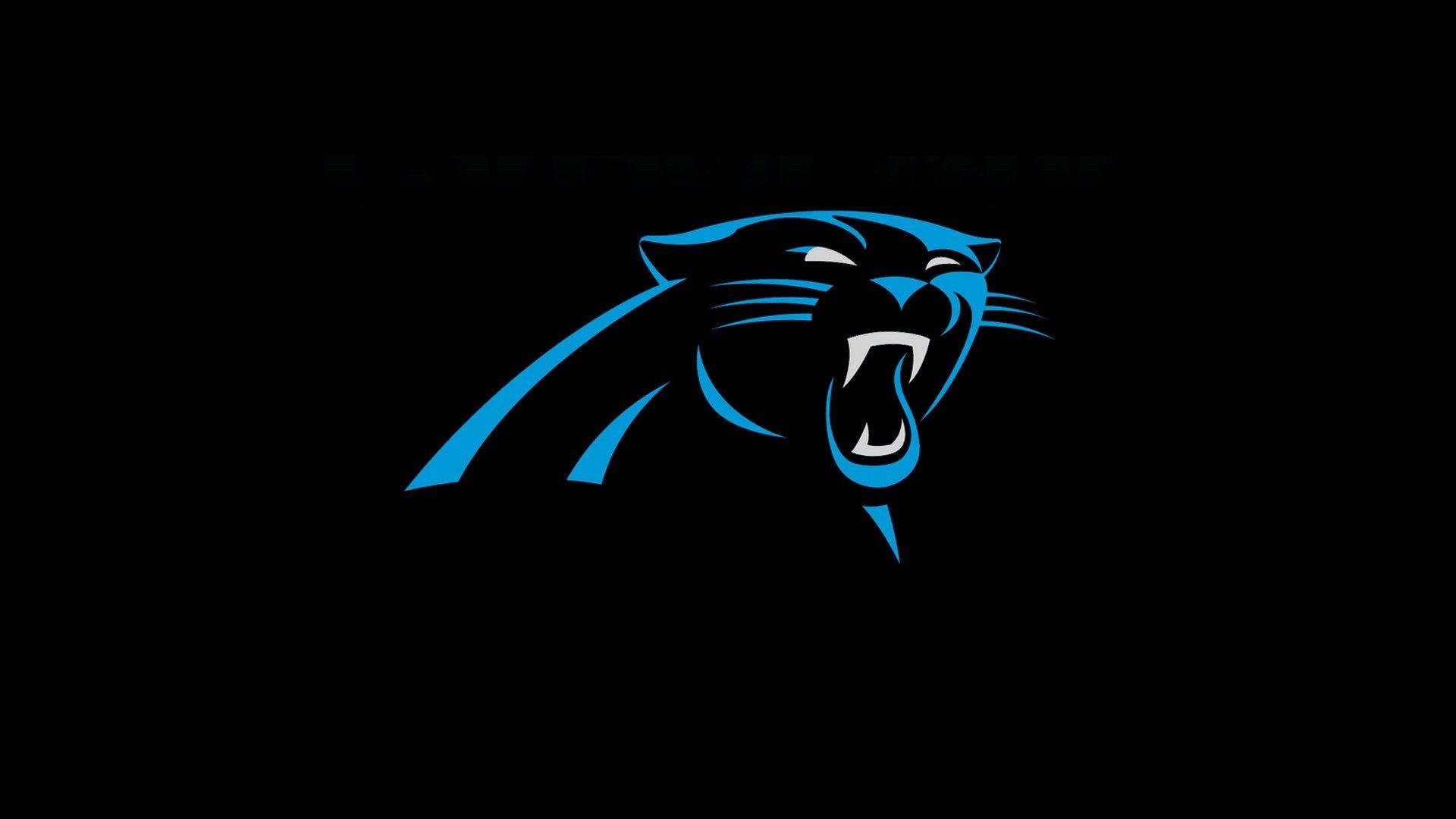 HD Panther Wallpapers - Top Free HD Panther Backgrounds - WallpaperAccess