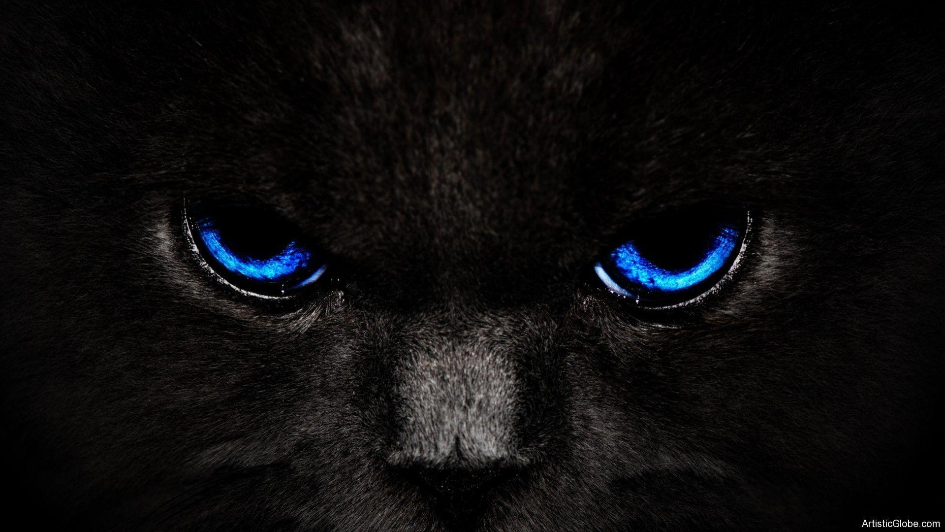 1920x1080 Hd Wallpaper Of Black Panther