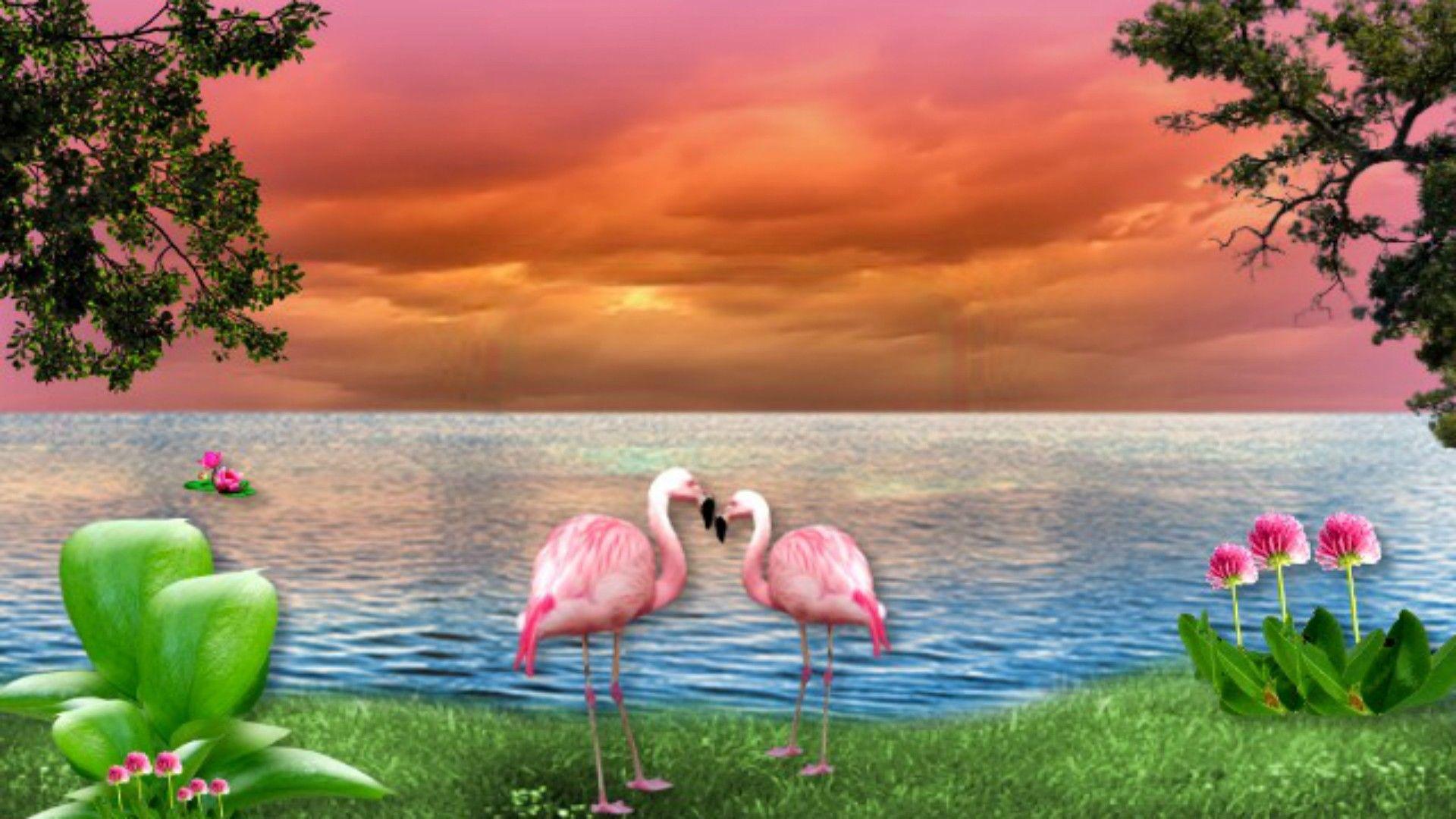 1920x1080 Hồ: Chim Hồ Hình nền phong cảnh lãng mạn Tahoe HD 16: 9 Cao https://wallpaperaccess.com/full/325505.jpg