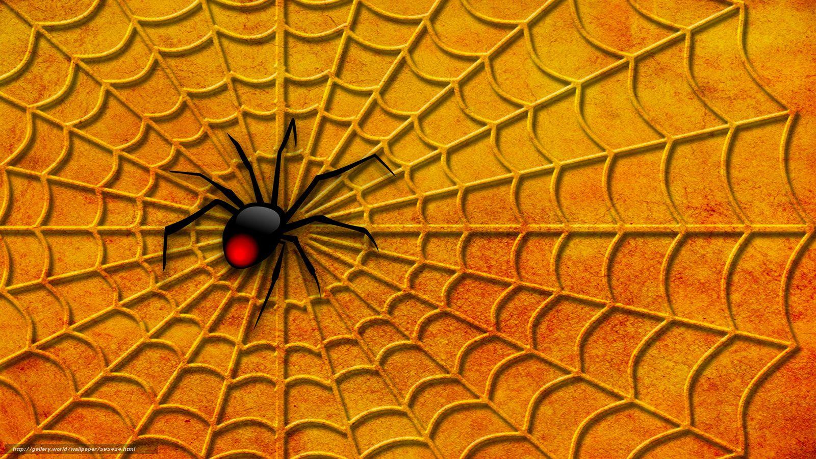 1600x900 Download wallpaper spider, web, 3D free desktop wallpaper in