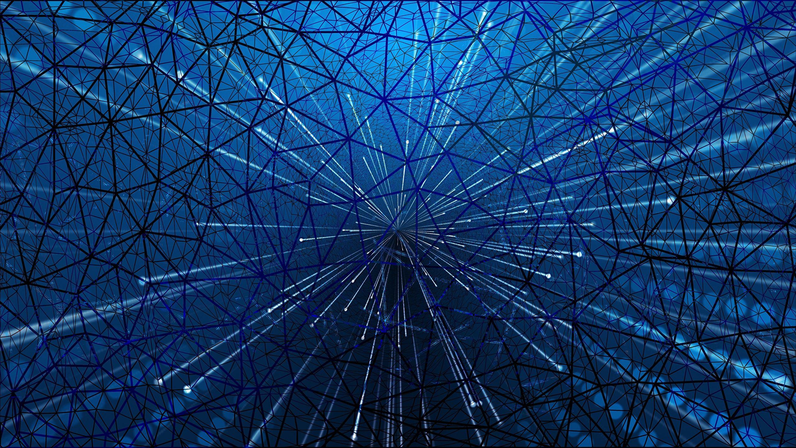 2560x1440 Photos Internet spider silk 3D Graphics 2560x1440