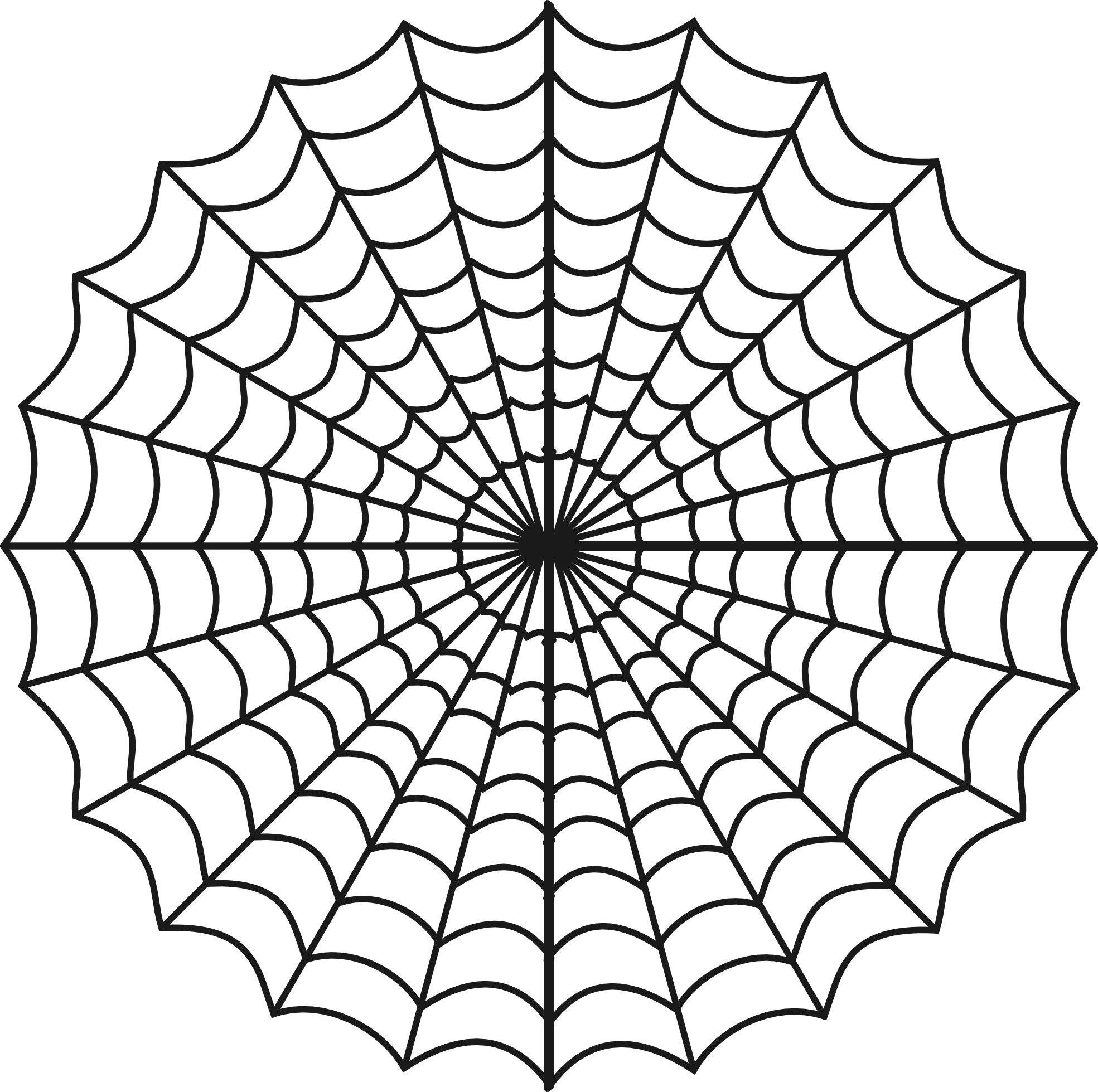 1969x1959 Spider Web Background