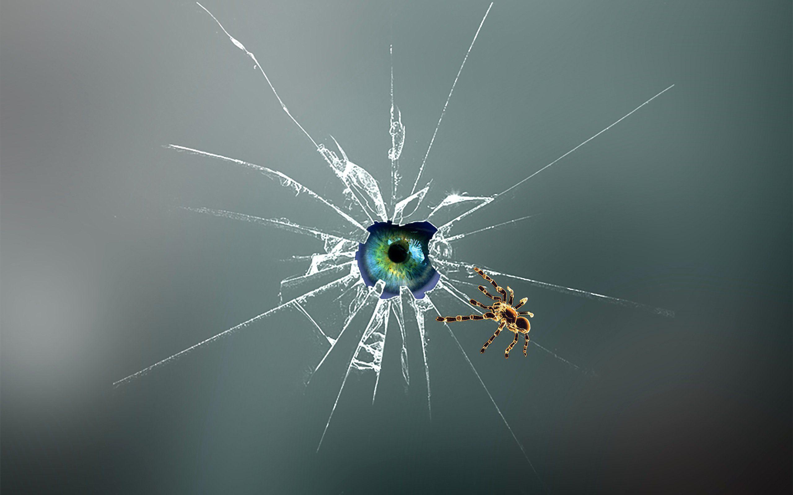 2560x1600 Eyes the spider 3D art computer screen wallpaperx1600