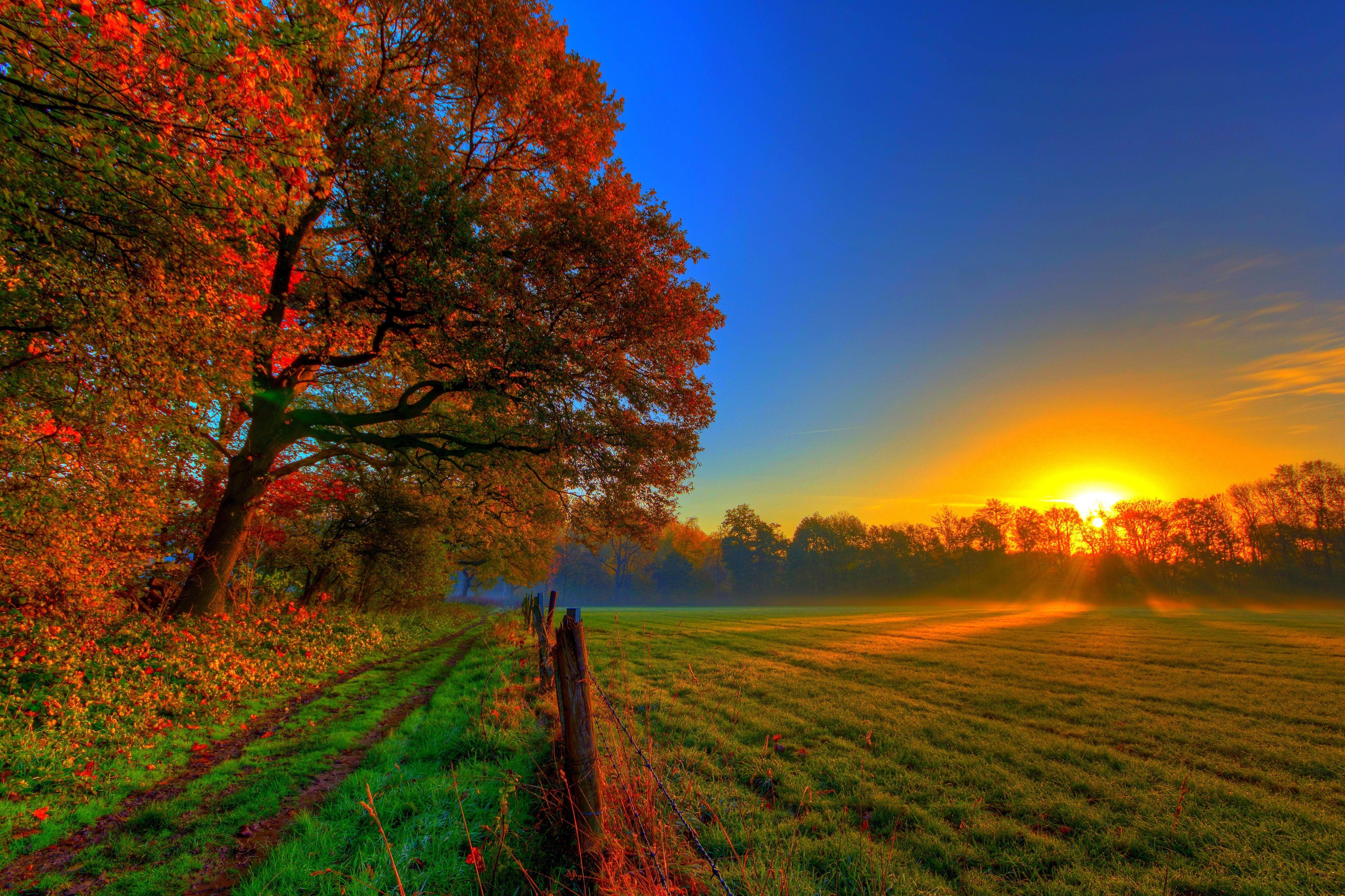 4869x3245 autum wallpaper