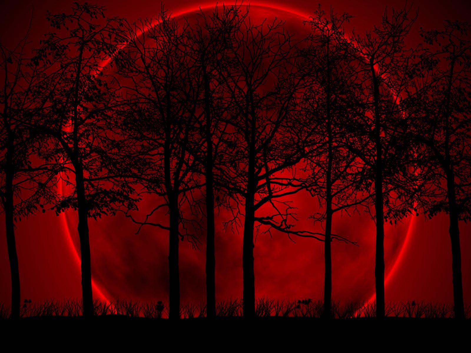 1600x1200 Free download Wallpaper 34 Moon forest Red and Black Wallpaper