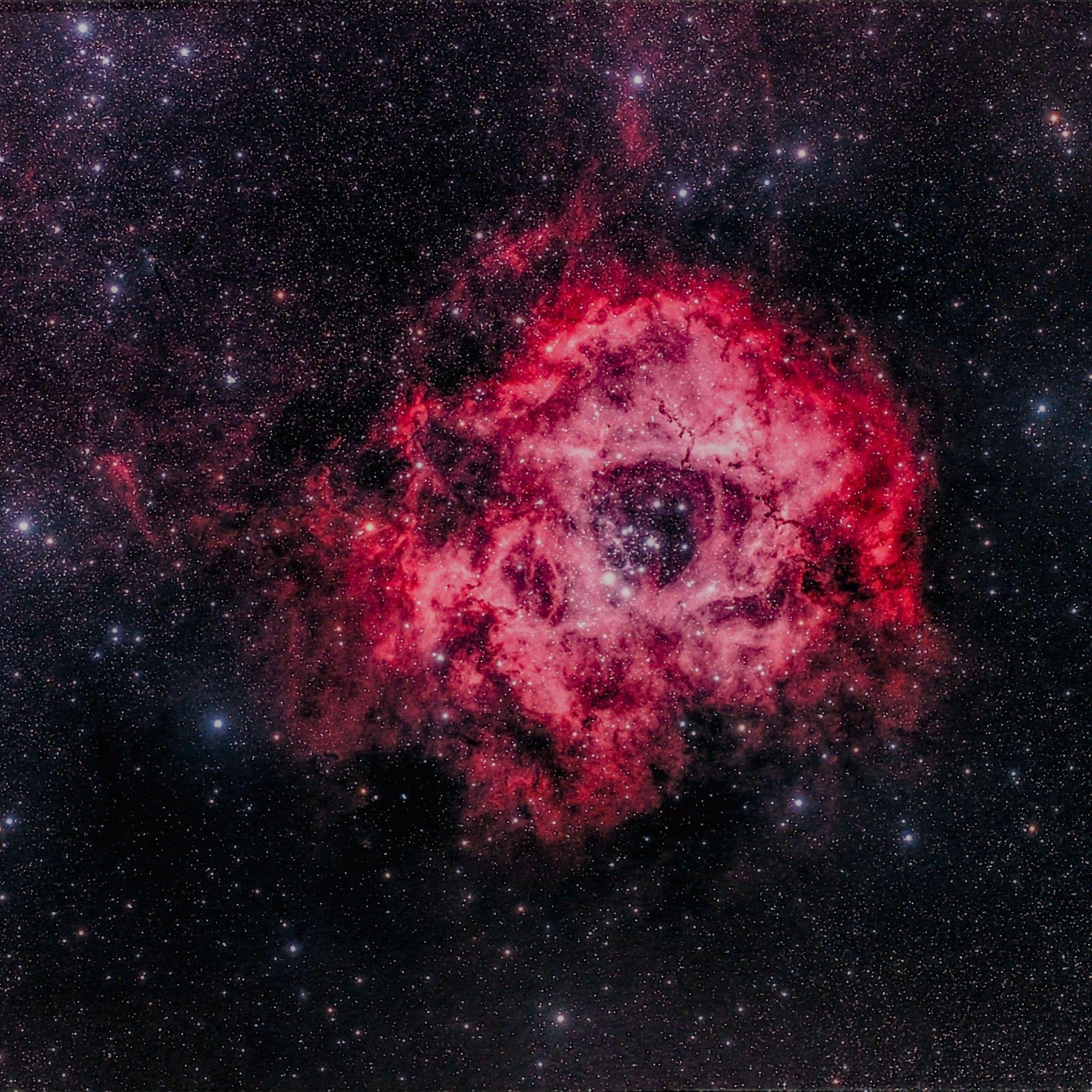 2048x2048 Wallpaper Rosette Nebula, NGC Galaxy, Stars, HD, 4K, Space