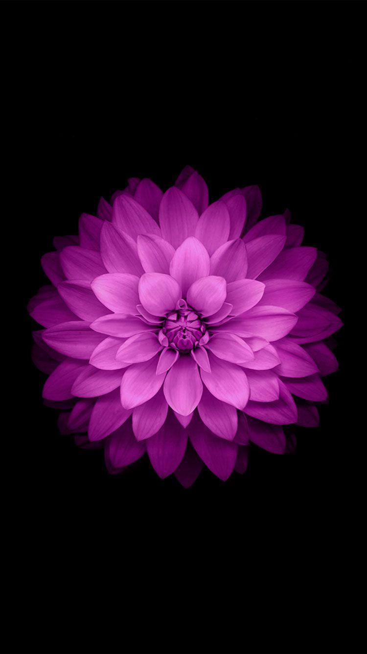 750x1334 Best Cool iPhone 6s & iPhone 6s Plus HD Wallpaper