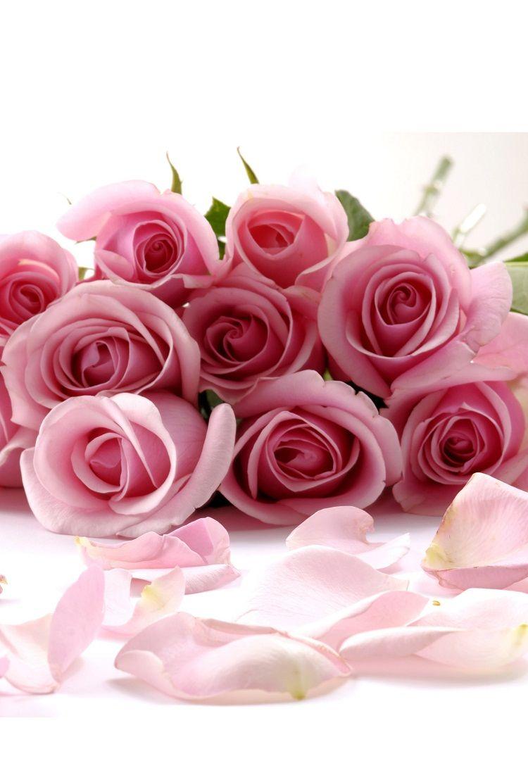 750x1108 Beautiful Flower iphone 6 wallpaper. iPhone 6 Wallpaper