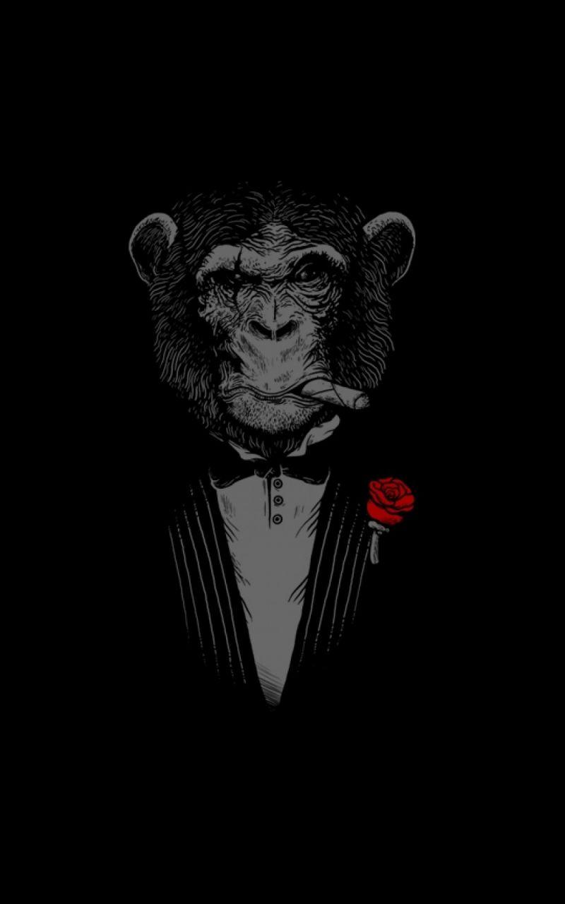 800x1280 Free download Chimpanzee Cigars Red Rose iPhone 6 Plus HD