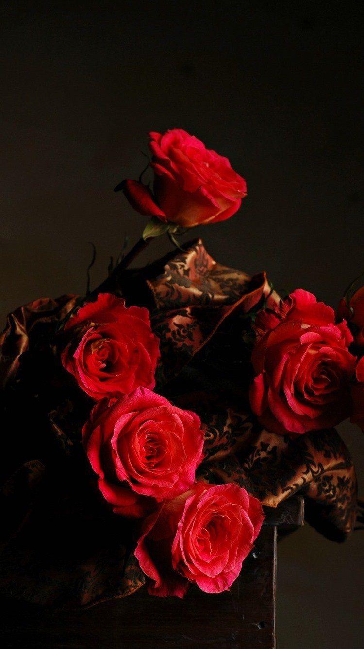 750x1334 Dark Rose Dark iPhone 6 Wallpaper