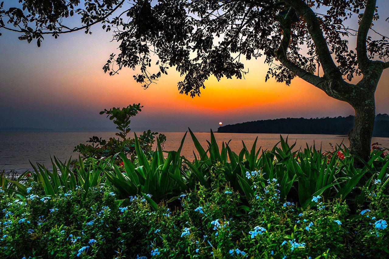 1280x853 Photo India Bambolim beach Goa Nature sunrise and sunset landscape