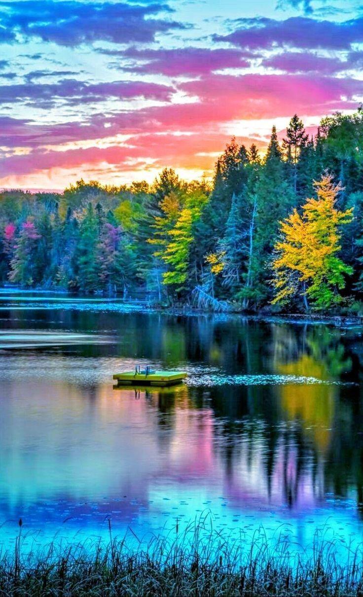 736x1211 iPhone