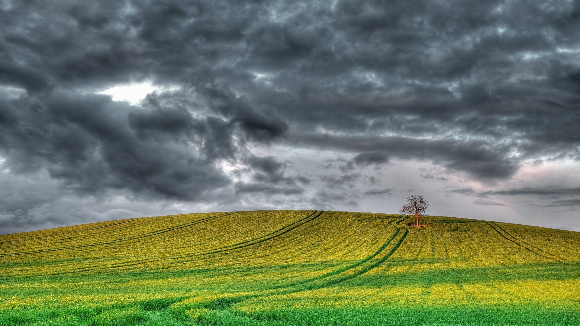 1920x1080 Wallpaper England scenery, fields, tree, cloudy sky 1920x1200 HD