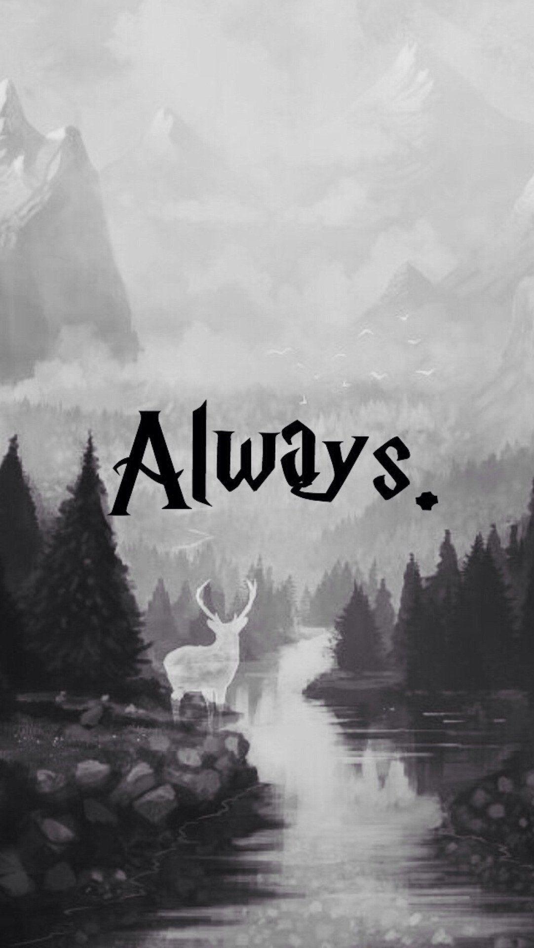 1082x1920 Harry Potter Wallpaper iPhone 6s
