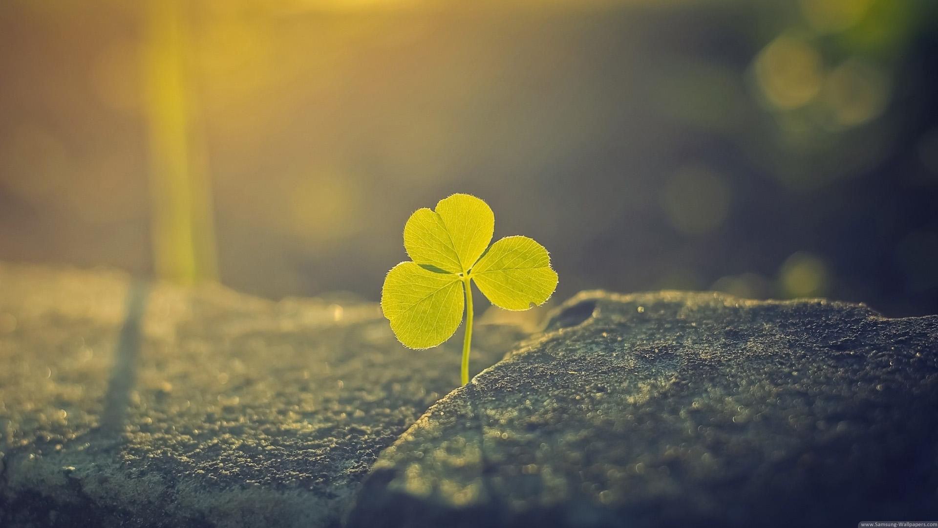 1920x1080 Download 1920x1080 Find You Own Luck wallpaper