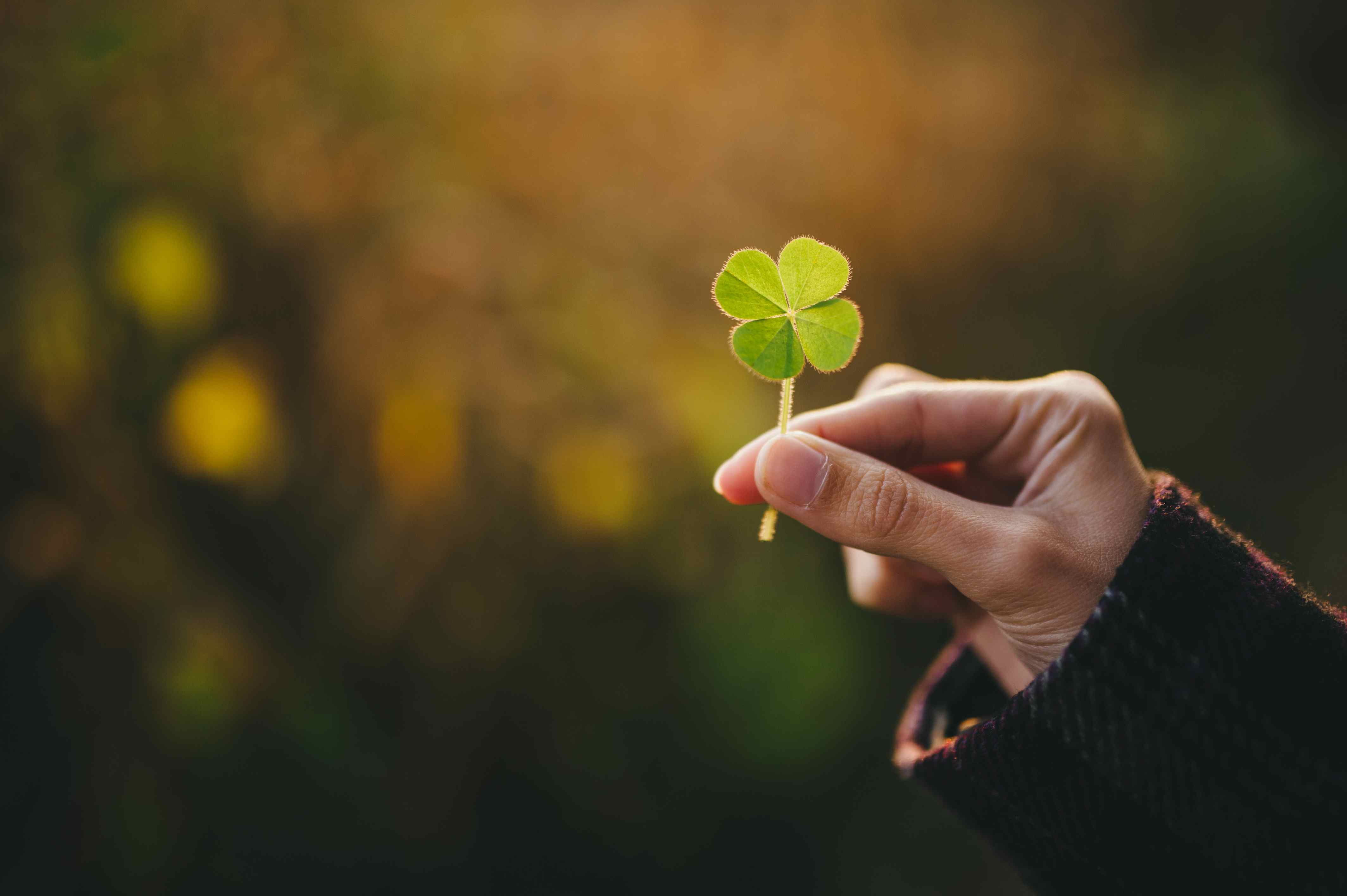 4256x2832 Lucky Charms to Attract Good Luck in Your Life