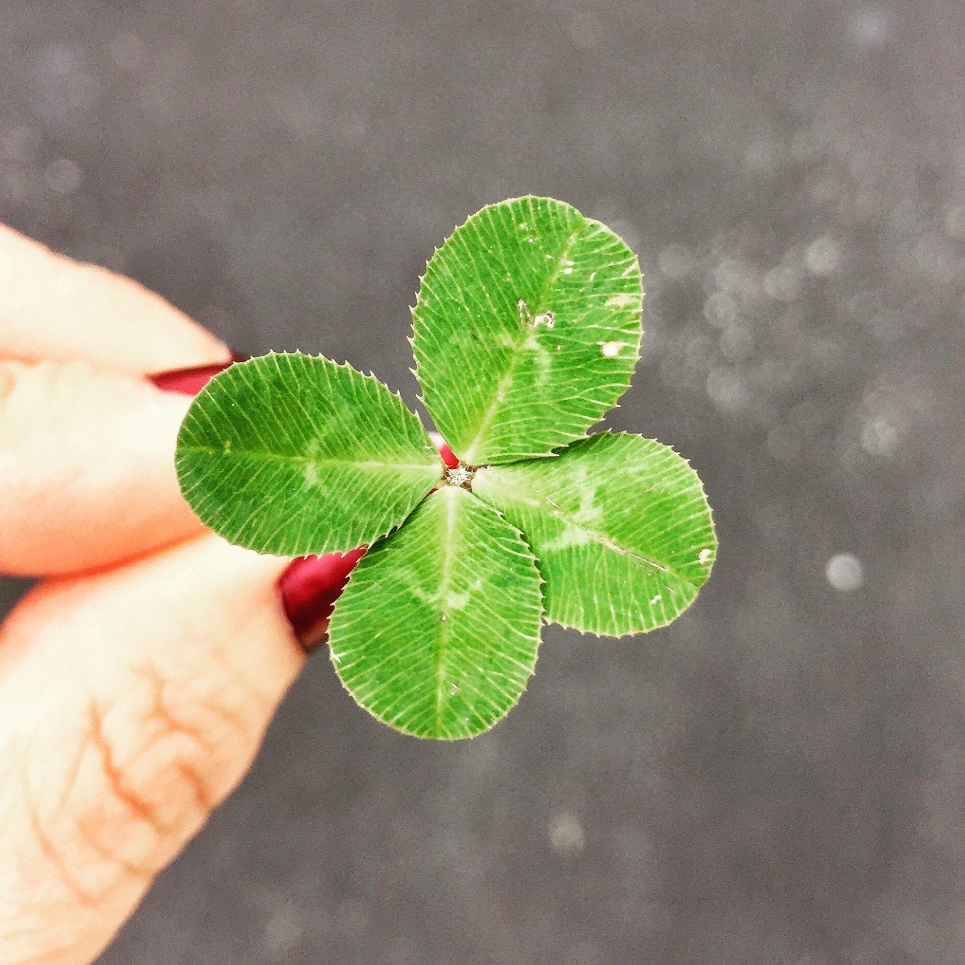 1878x1878 lucky wallpaper and background