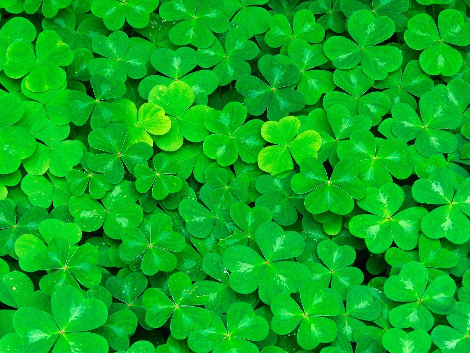 1600x1200 Lots O Luck