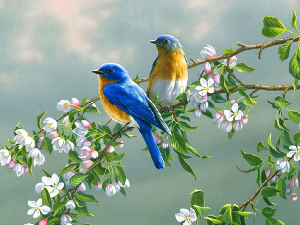 1024x768 Free Spring Wallpaper with Birds