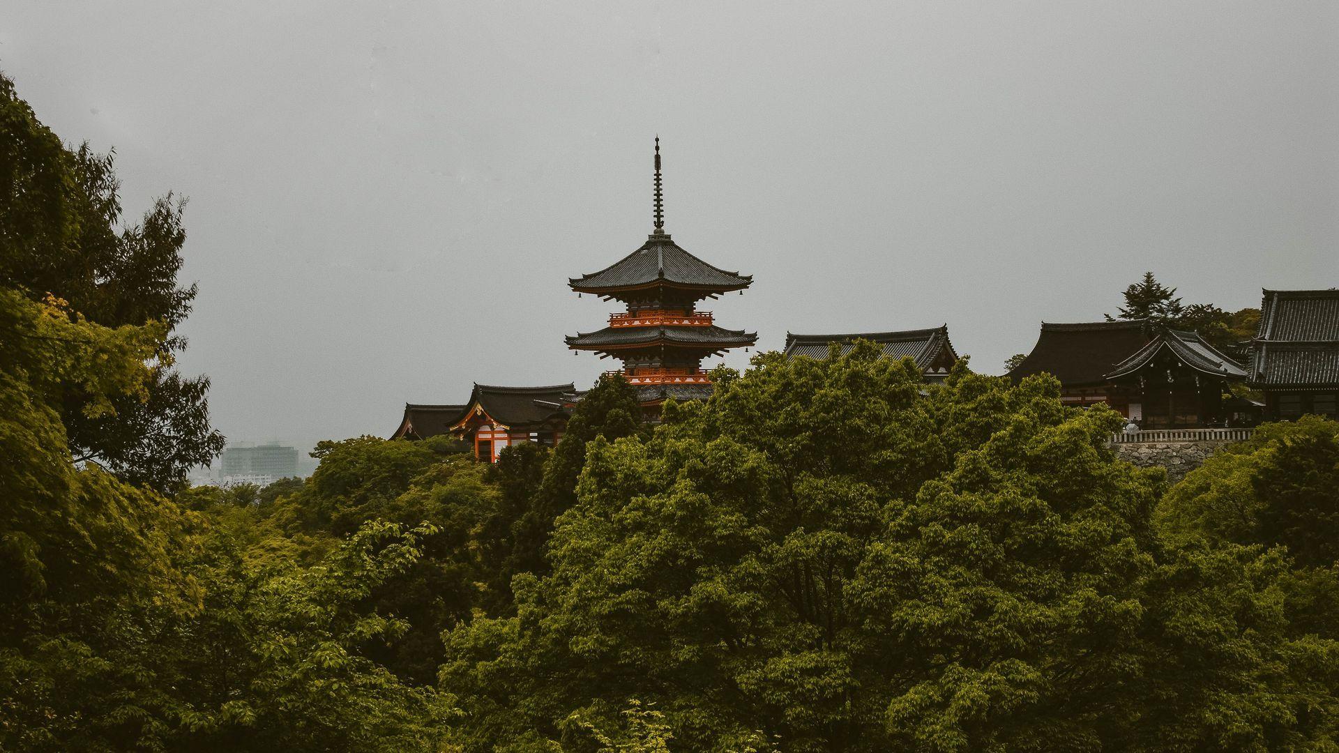 1920x1080 Download wallpaper 1920x1080 pagoda, trees, architecture, kyoto