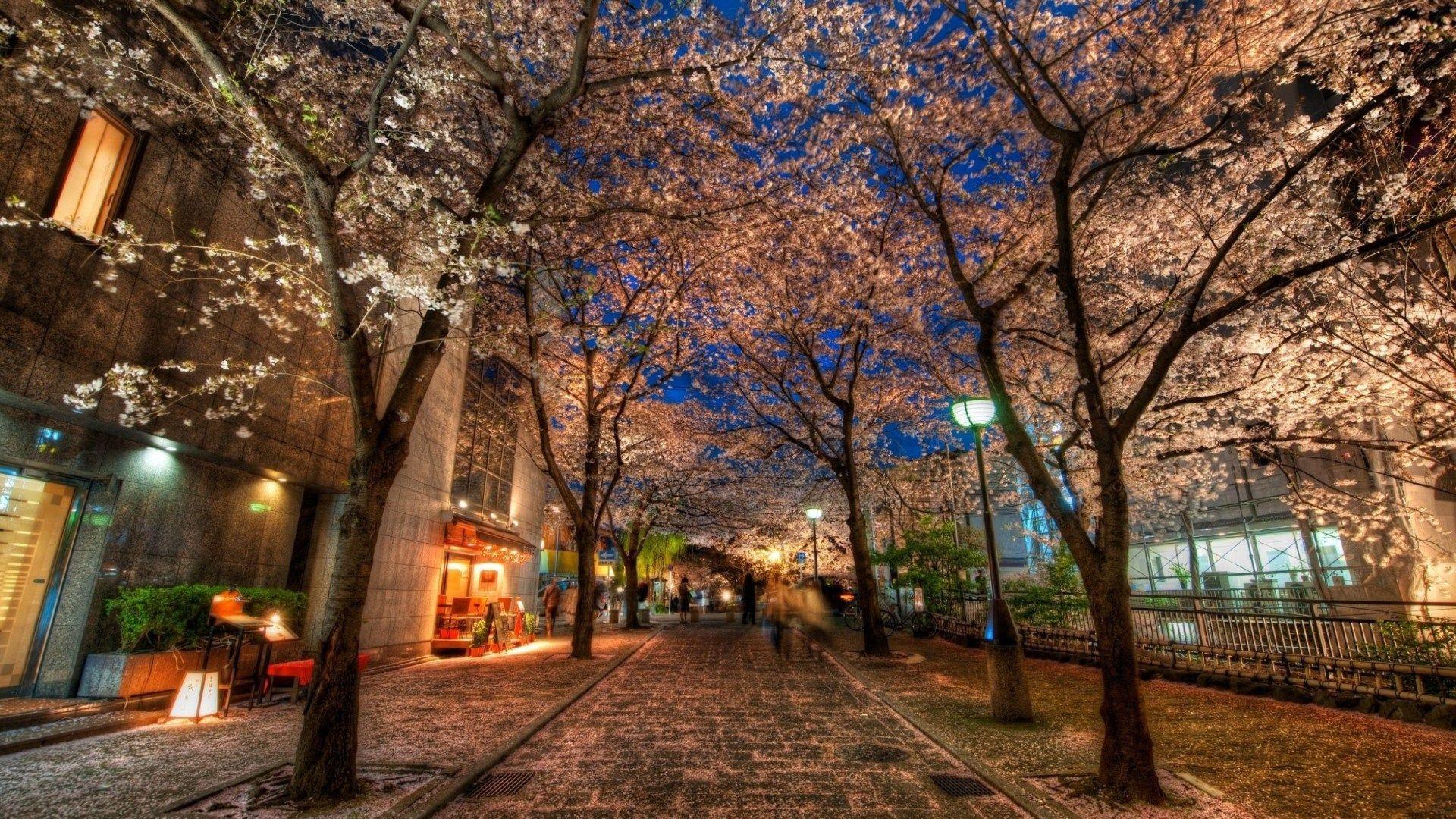 1920x1080 Japan, Kyoto HD Wallpaper & Background • 21363 • Wallur