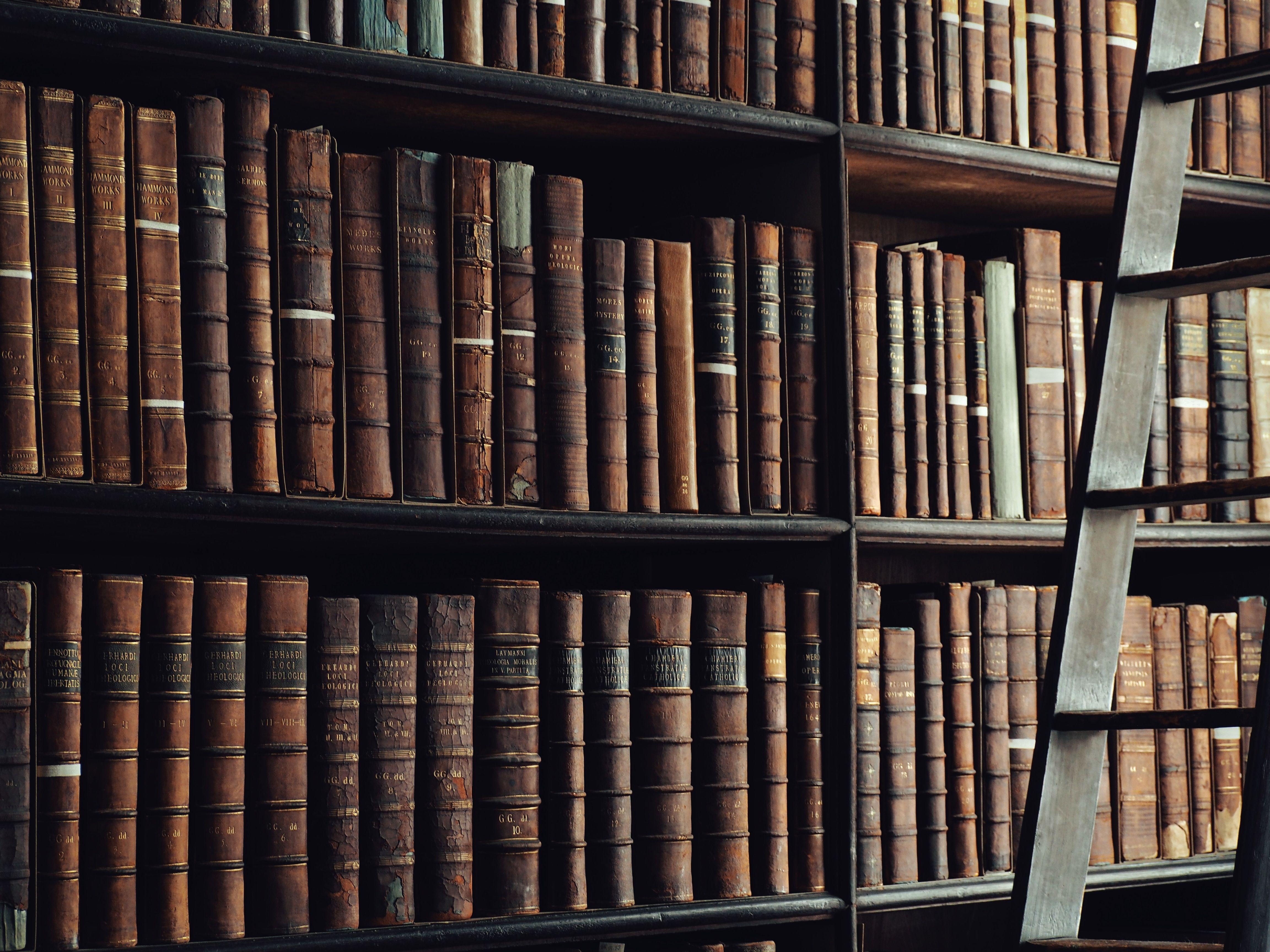 4608x3456 4608x3456 #Free , #read, #library, #trinity, #books, #ladder, #book, #shelf, #knowledge, #reading, #old books. Mocah HD Wallpaper