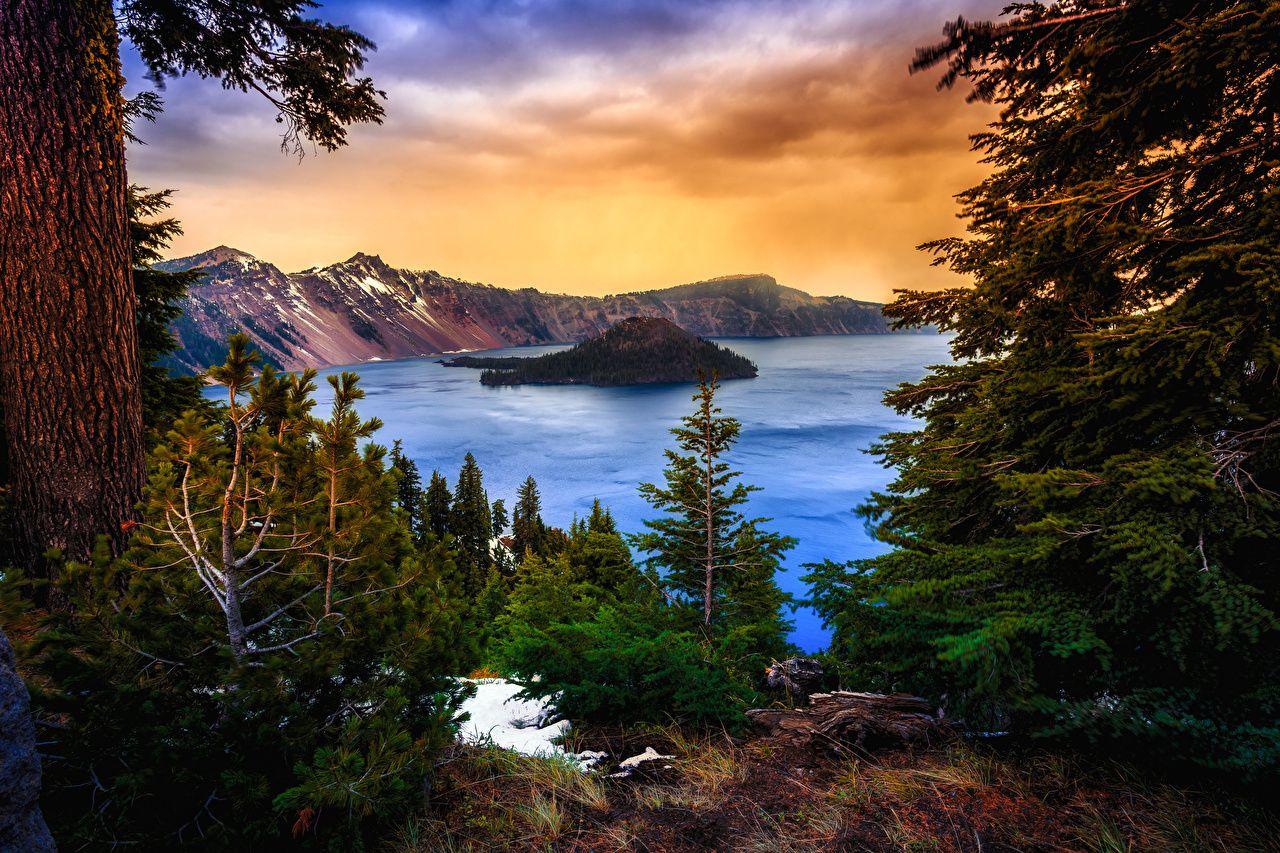 1280x853 Wallpaper USA Crater Lake National Park Oregon Nature Spruce