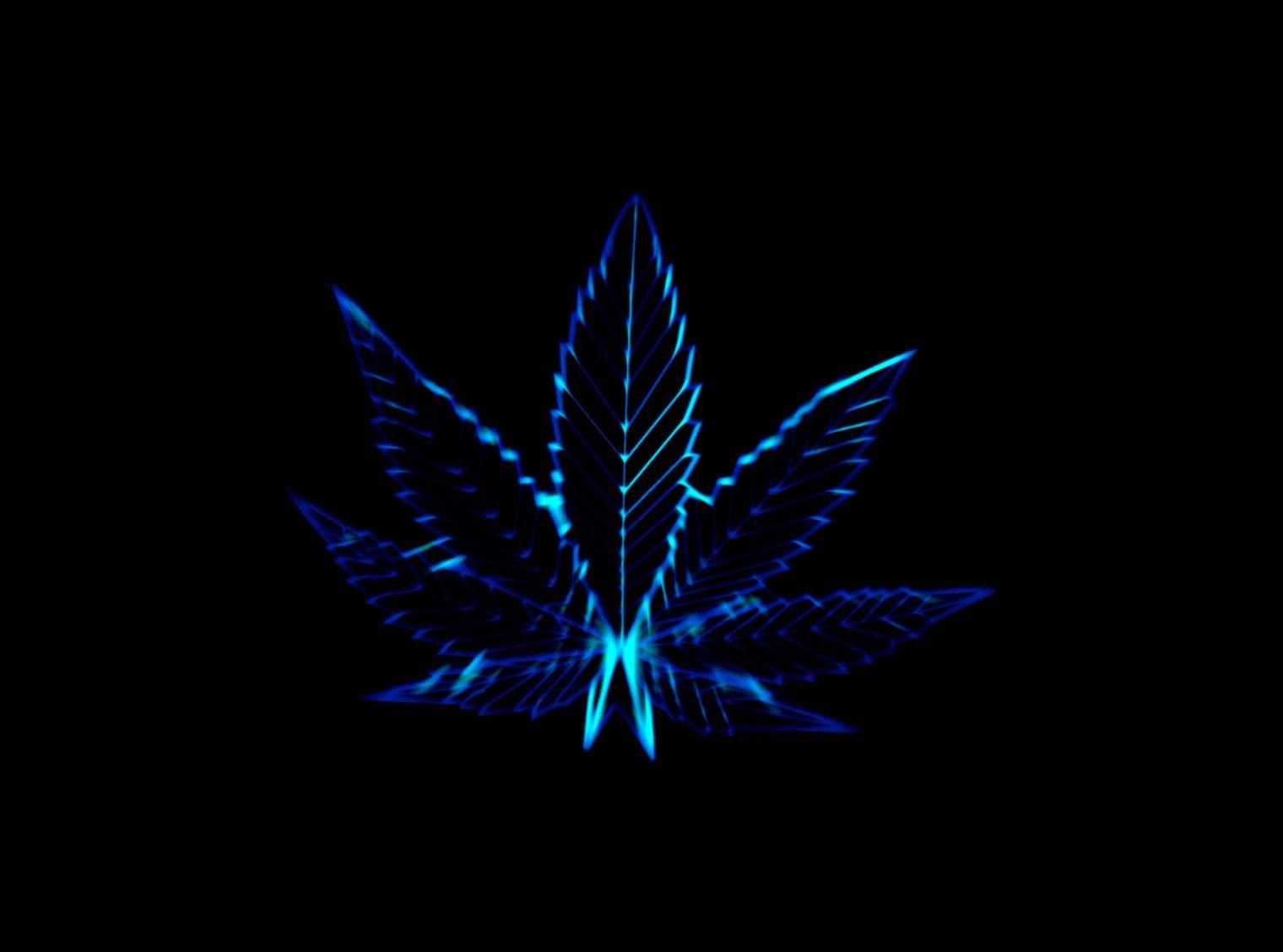 1520x1128 3D Wallpaper Weed Leaf Wallpaper HD