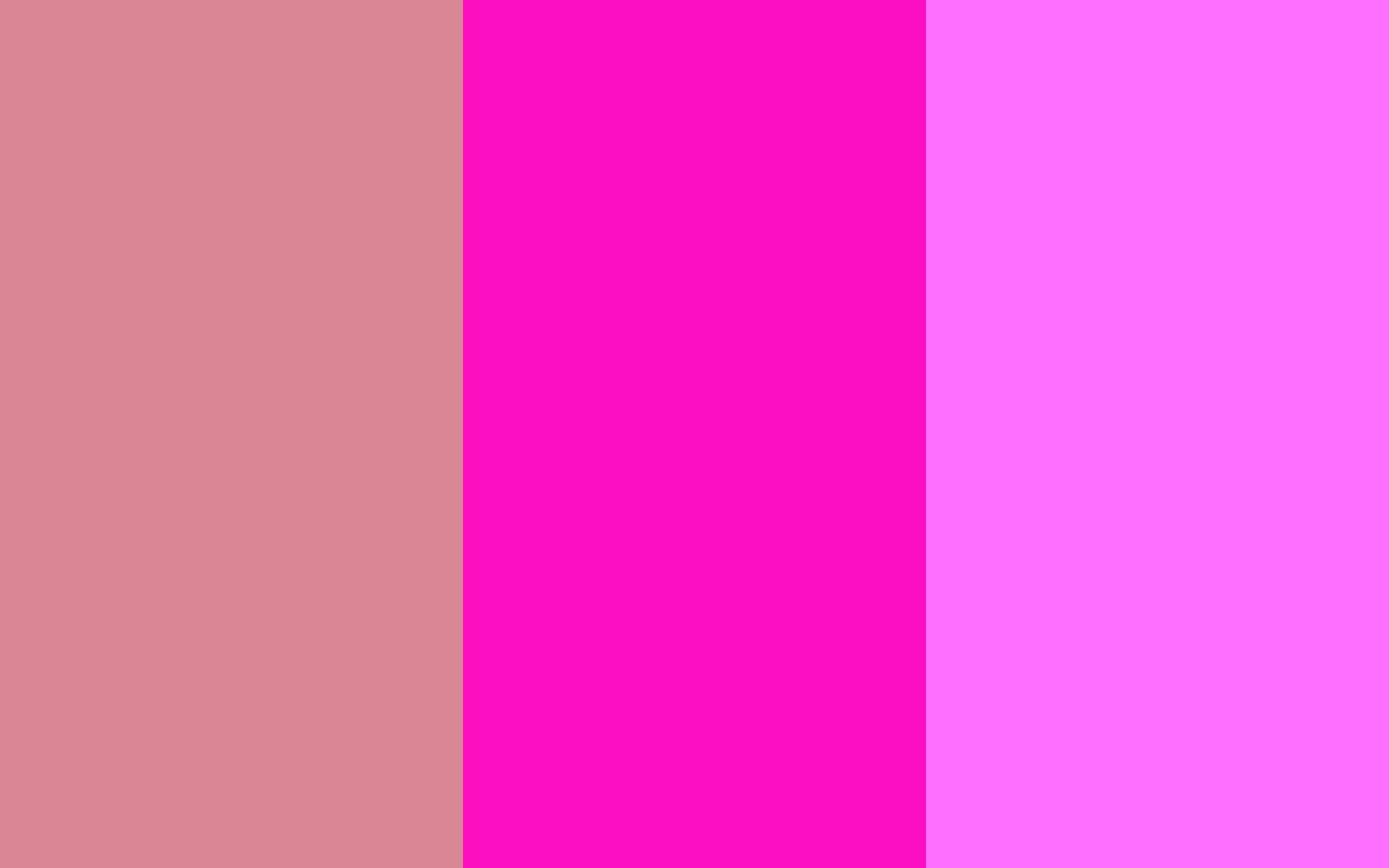 1920x1200 Free download Blush Shocking Pink and Shocking Pink Crayola Three