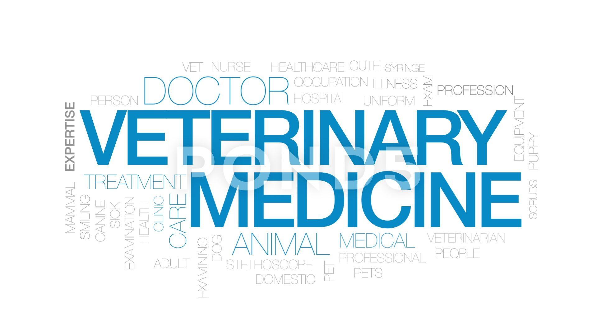 Dynamic Veterinary Eye Specialist Picture Nature Dynamic Veterinary Eye Specialist Picture Nature