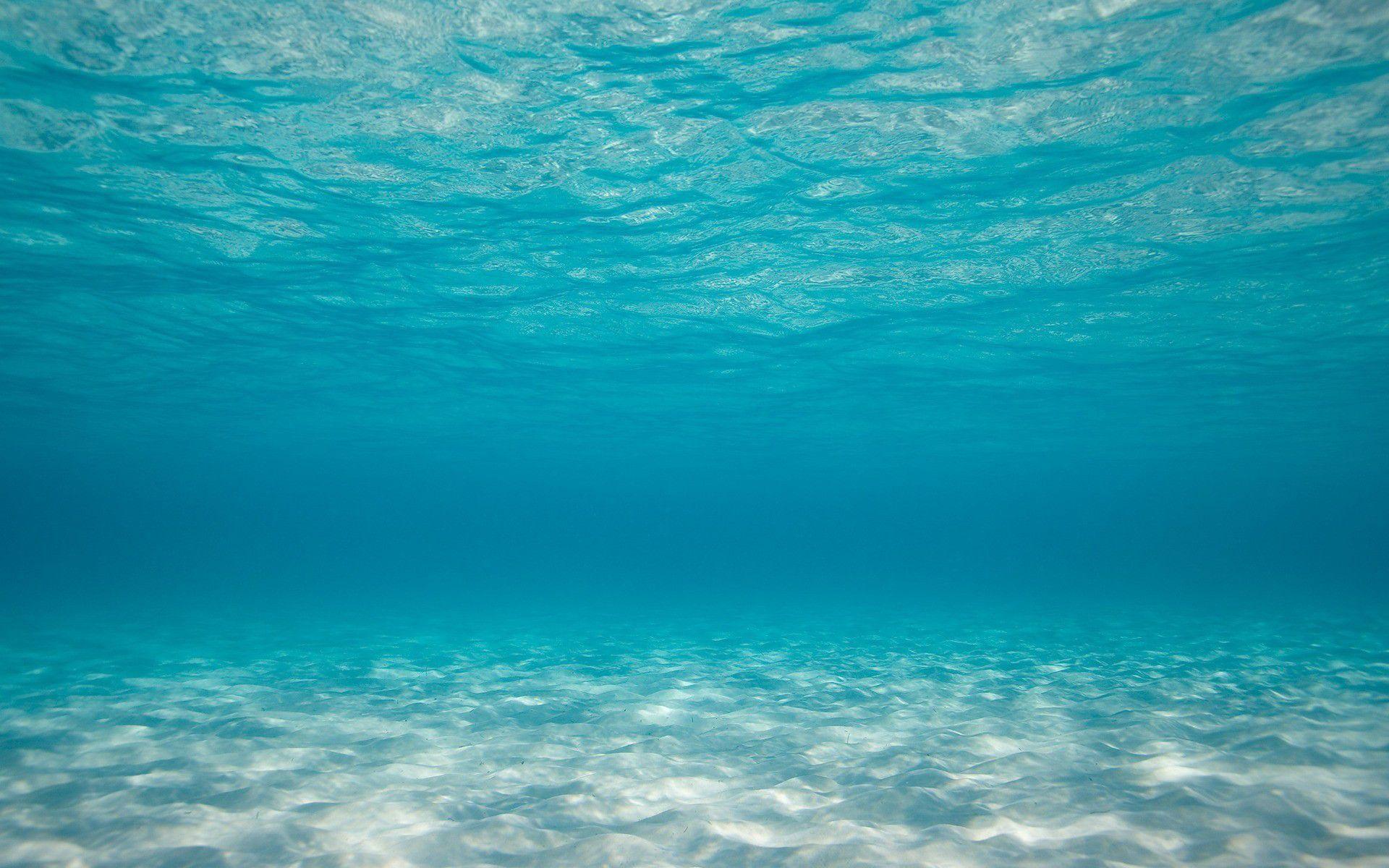 ocean floor background