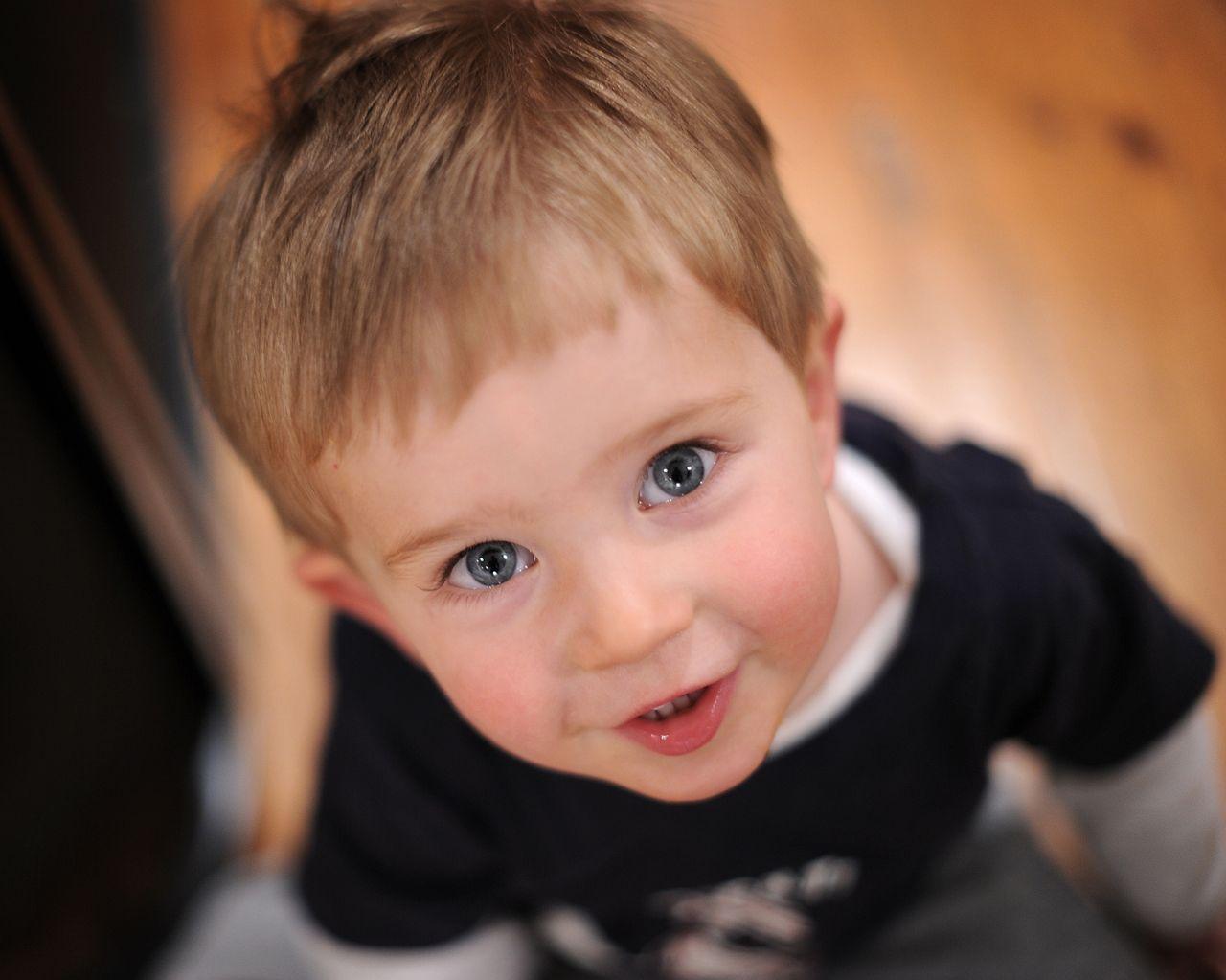 1280x1023 Free download Cute Little Baby Boy In Surprise HD Wallpaper Cute