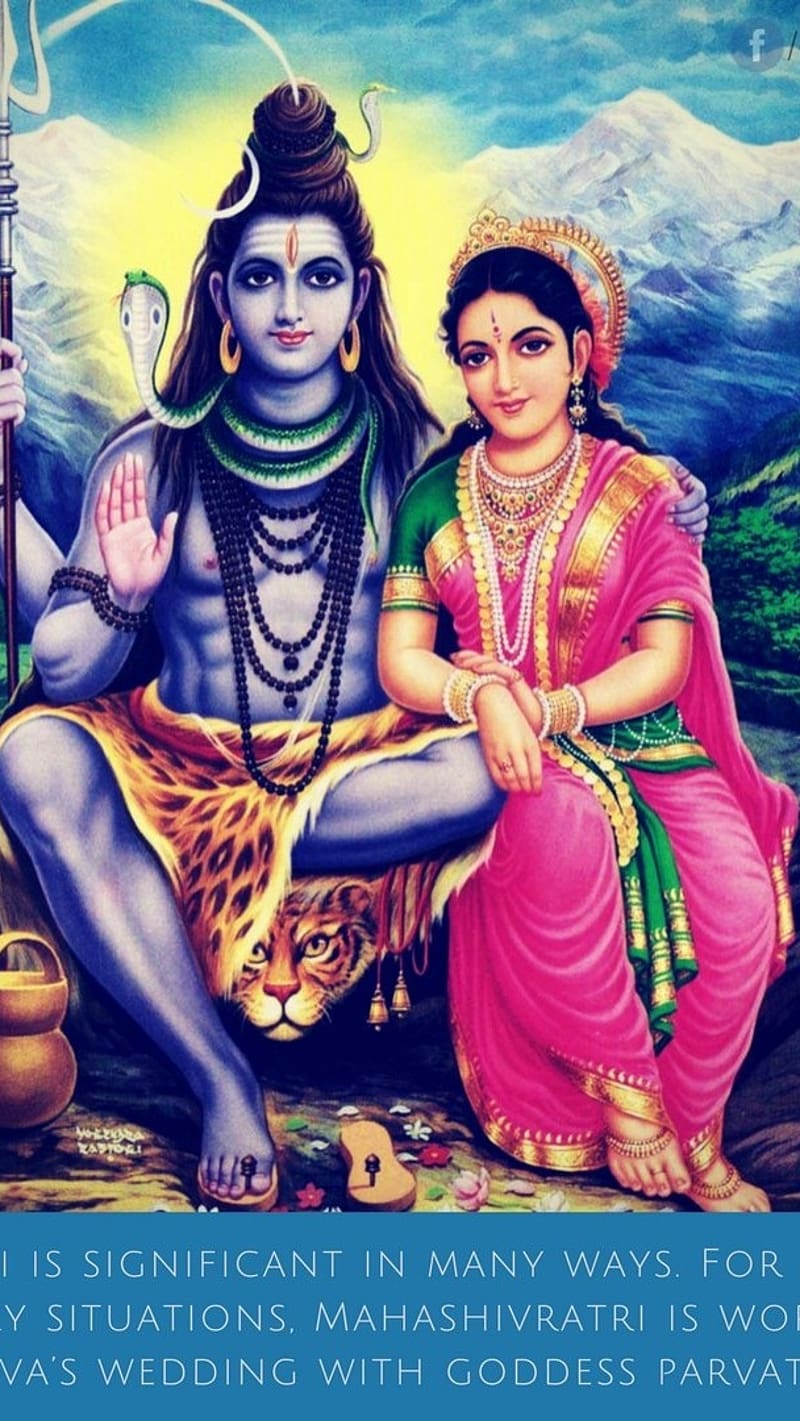 800x1421 Shivji Parvati ki Pyari Jodi, shivji parvati, bhakti, HD phone wallpaper