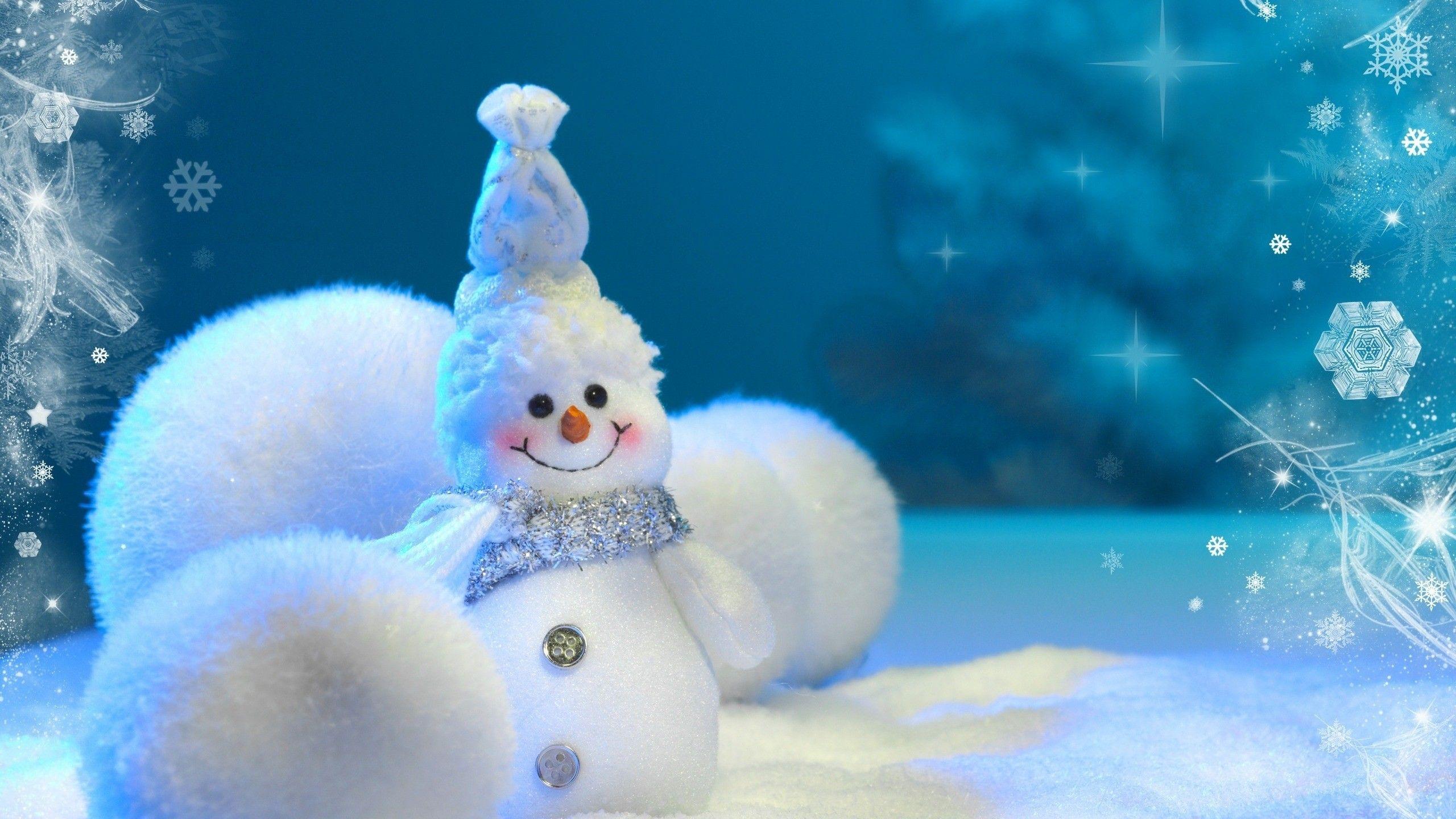 2560x1440 1080P Winter Wallpaper