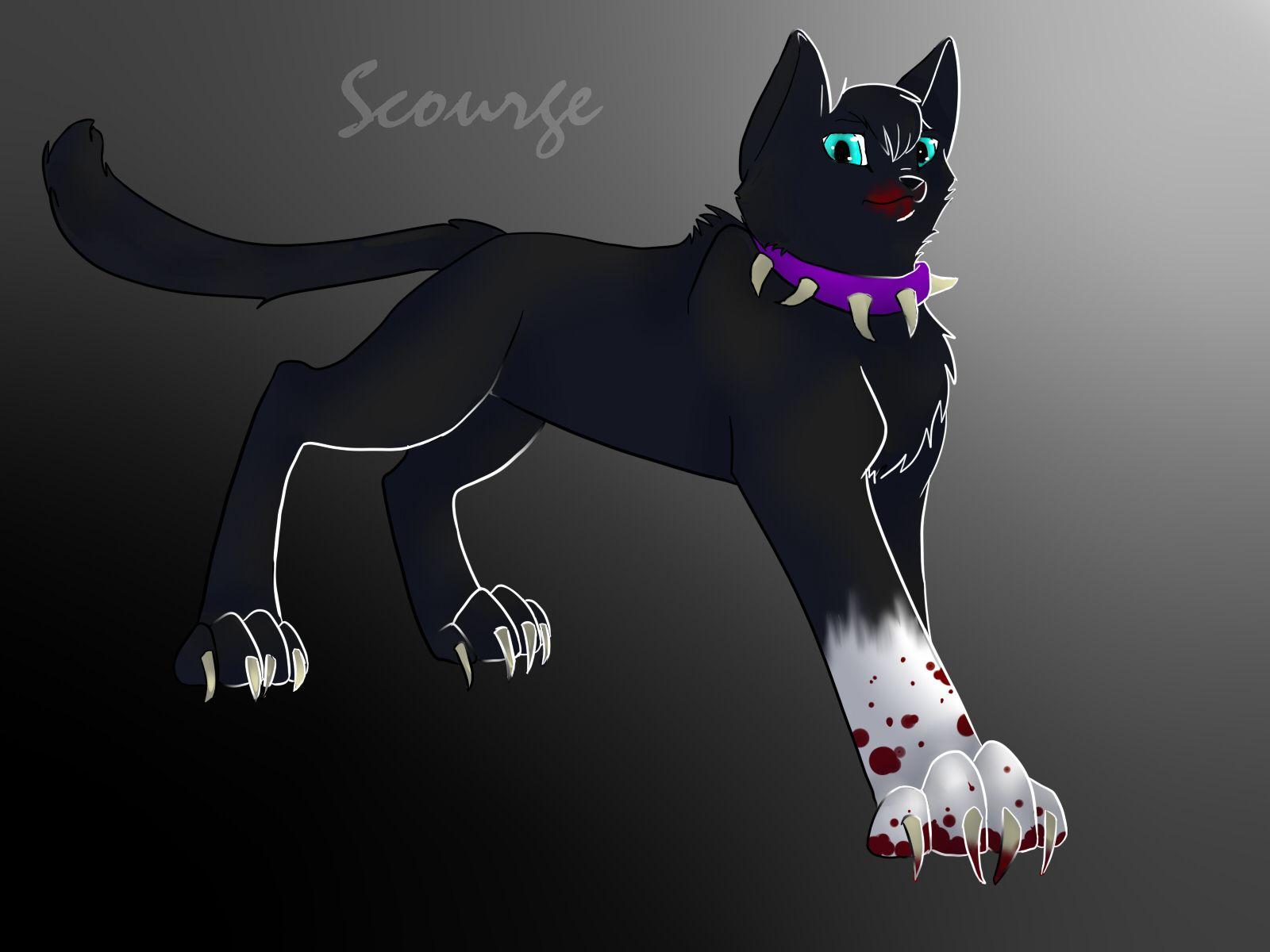 1600x1200 Scourge Wallpaper. Lord Scourge Wallpaper, Scourge Hedgehog Wallpaper and Scourge Wallpaper