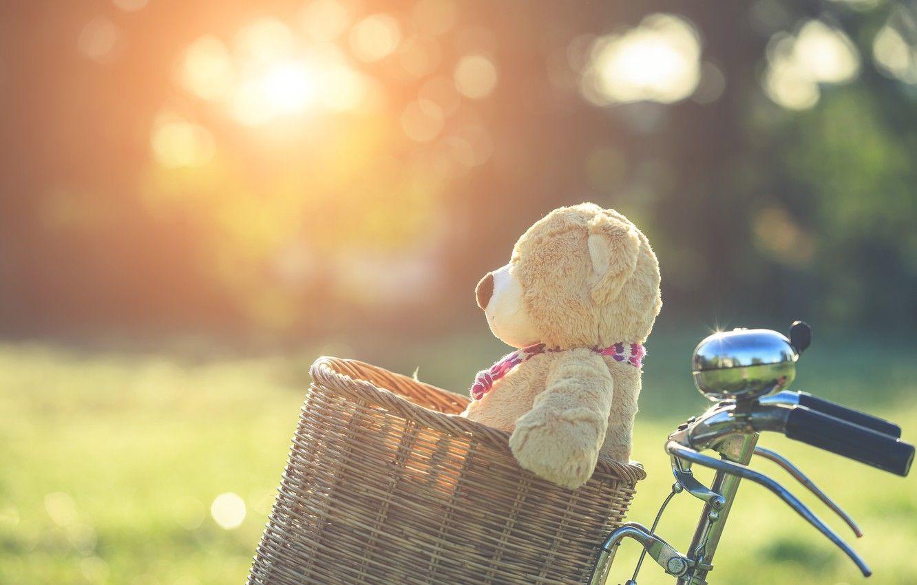 1332x850 Wallpaper summer, sunset, bike, basket, toy, bear, bear, summer