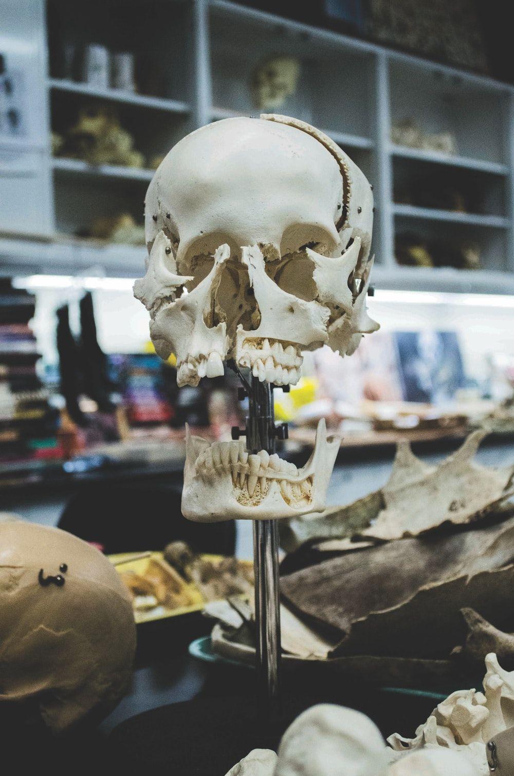 1000x1510 Forensics Lab Picture. Download Free Image