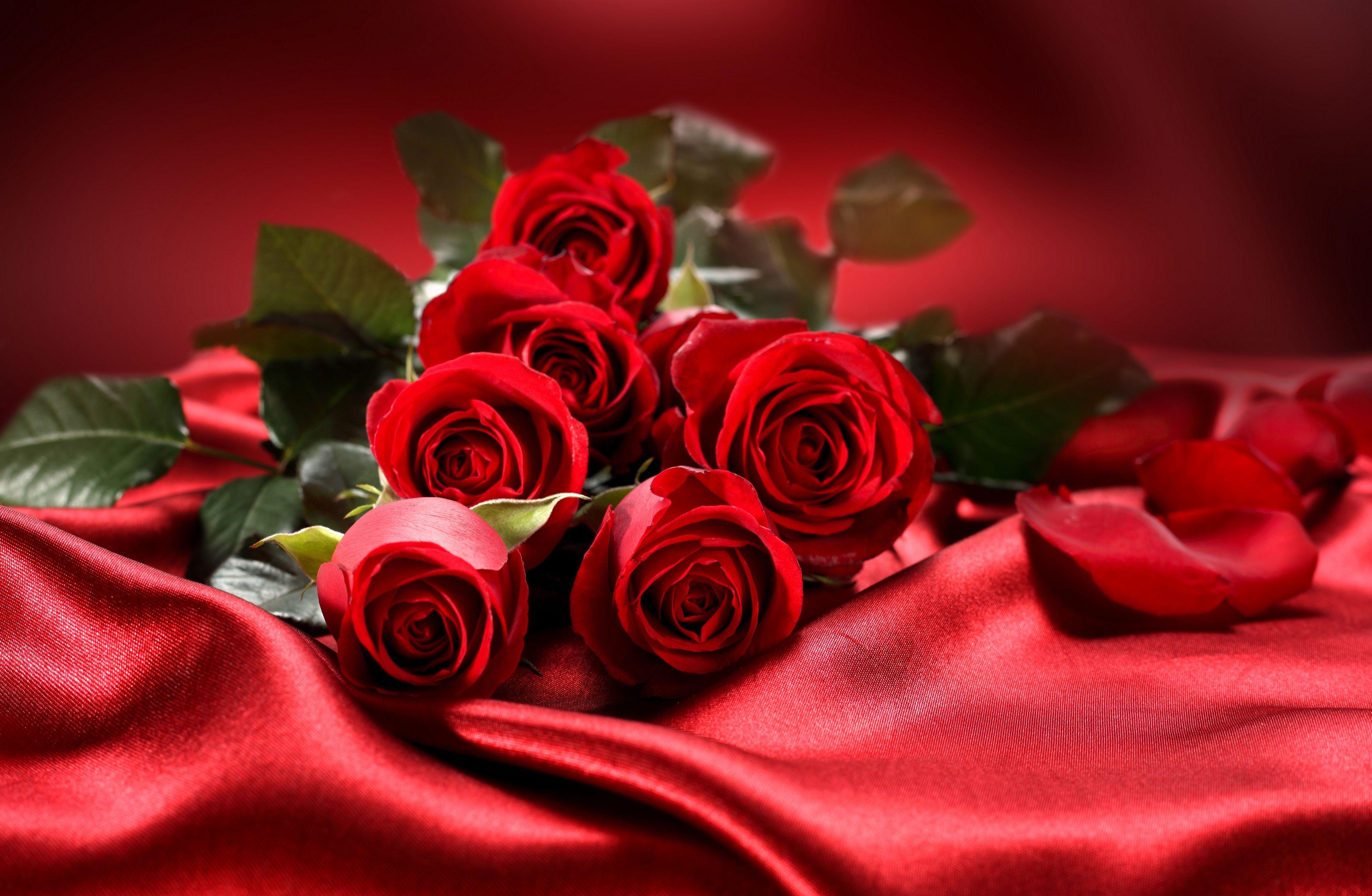 4350x2840 Free download Valentines Day Flowers Wallpaper [4350x2840]