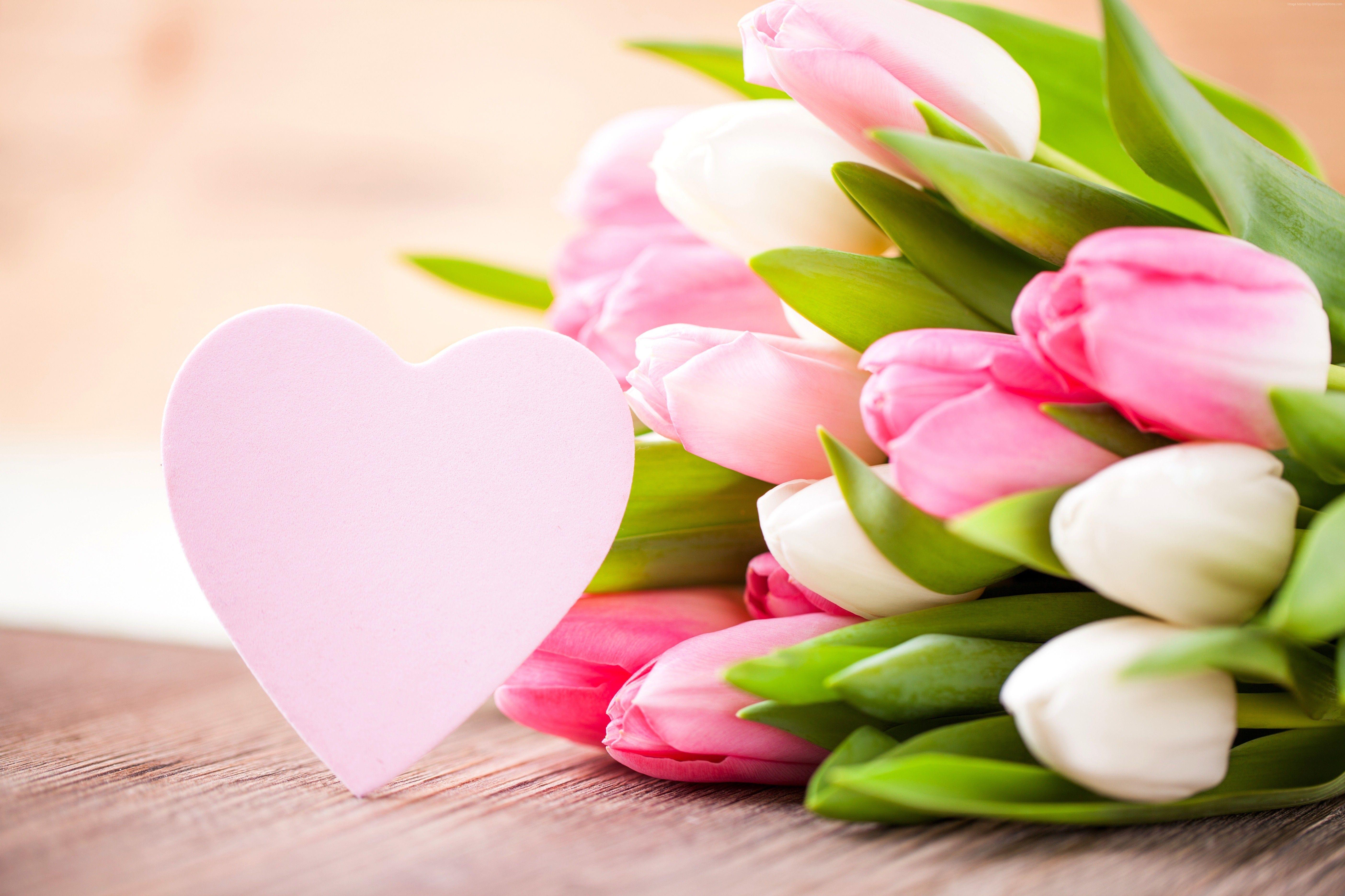 Valentine Day Flower Images Free Download