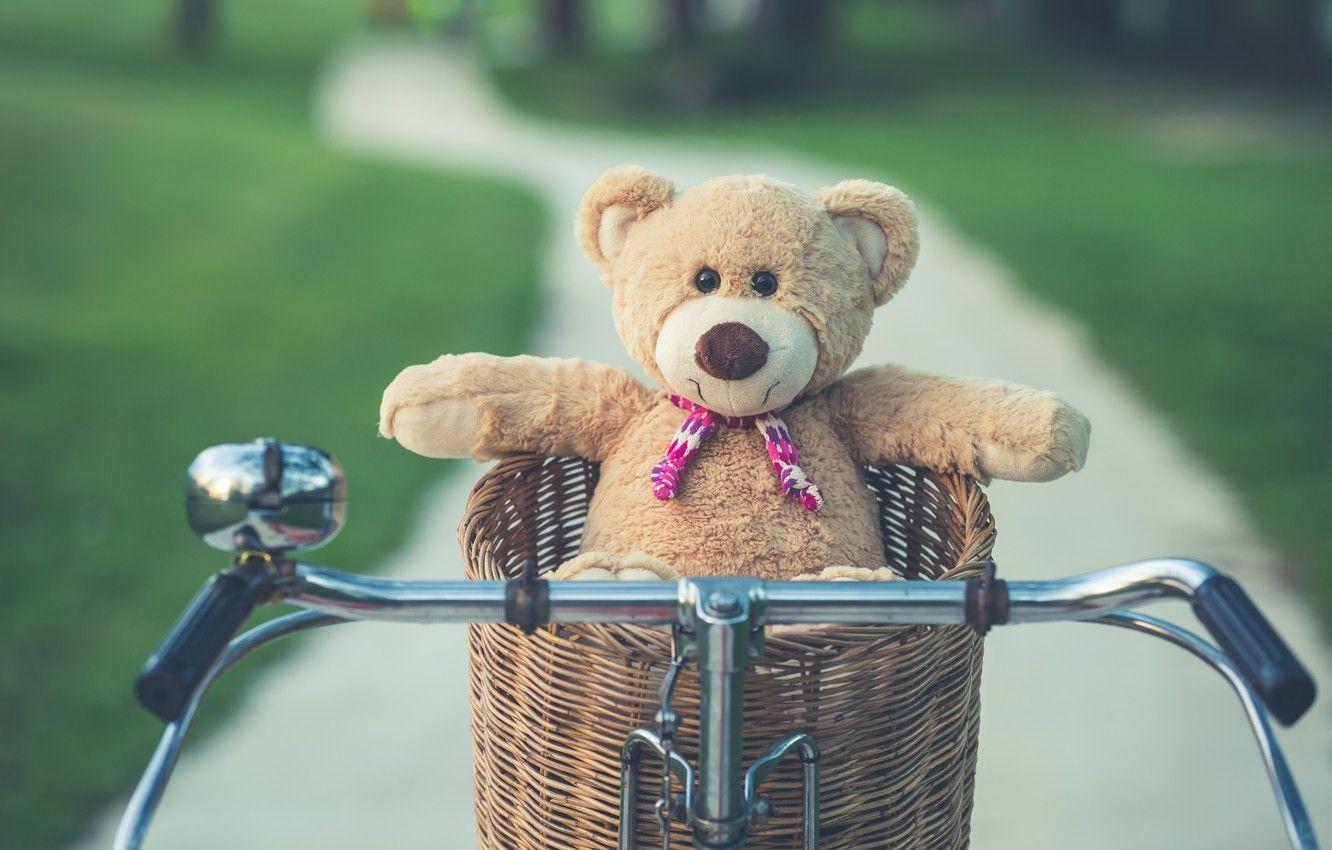 1332x850 Wallpaper summer, bike, basket, toy, bear, bear, summer, vintage