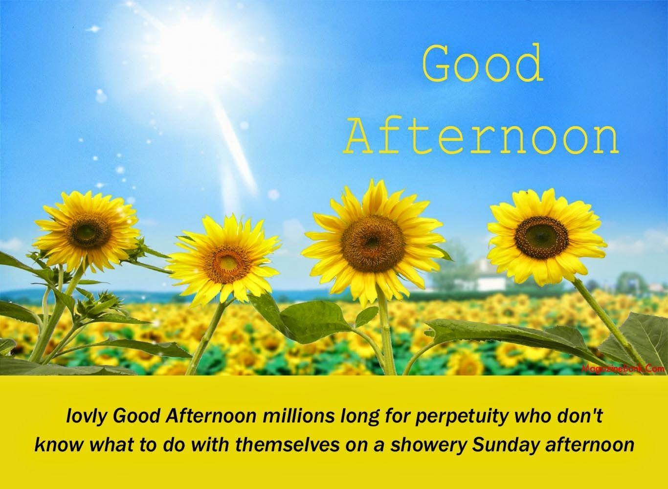 1366x1000 1366x1000px Good Afternoon (177.33 KB).07.2015
