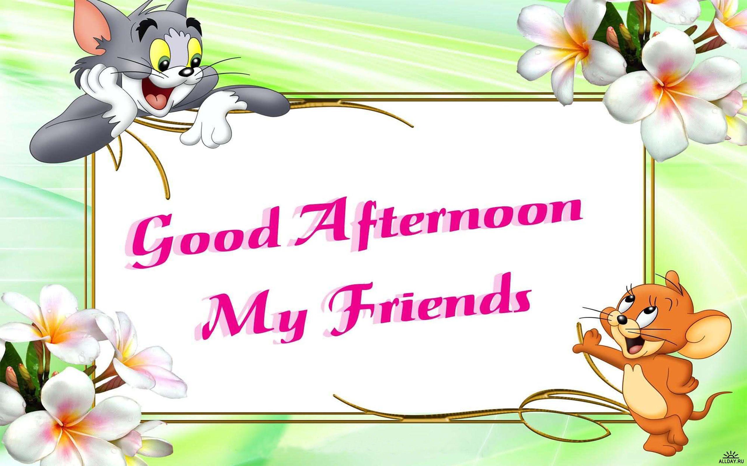 2560x1600 Tom And Jerry Wish You Good Afternoon My Friends Desktop HD