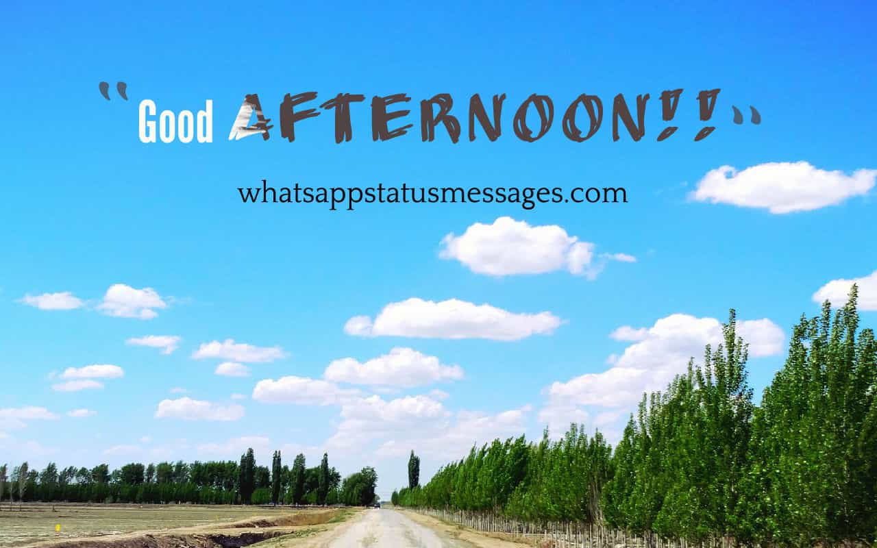 1280x800 Good Afternoon Image Free Download