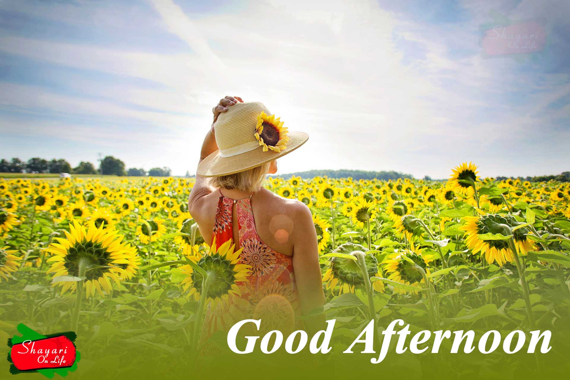 1920x1280 Free download Good Afternoon QuotesWishesMessage With ImagePhotos