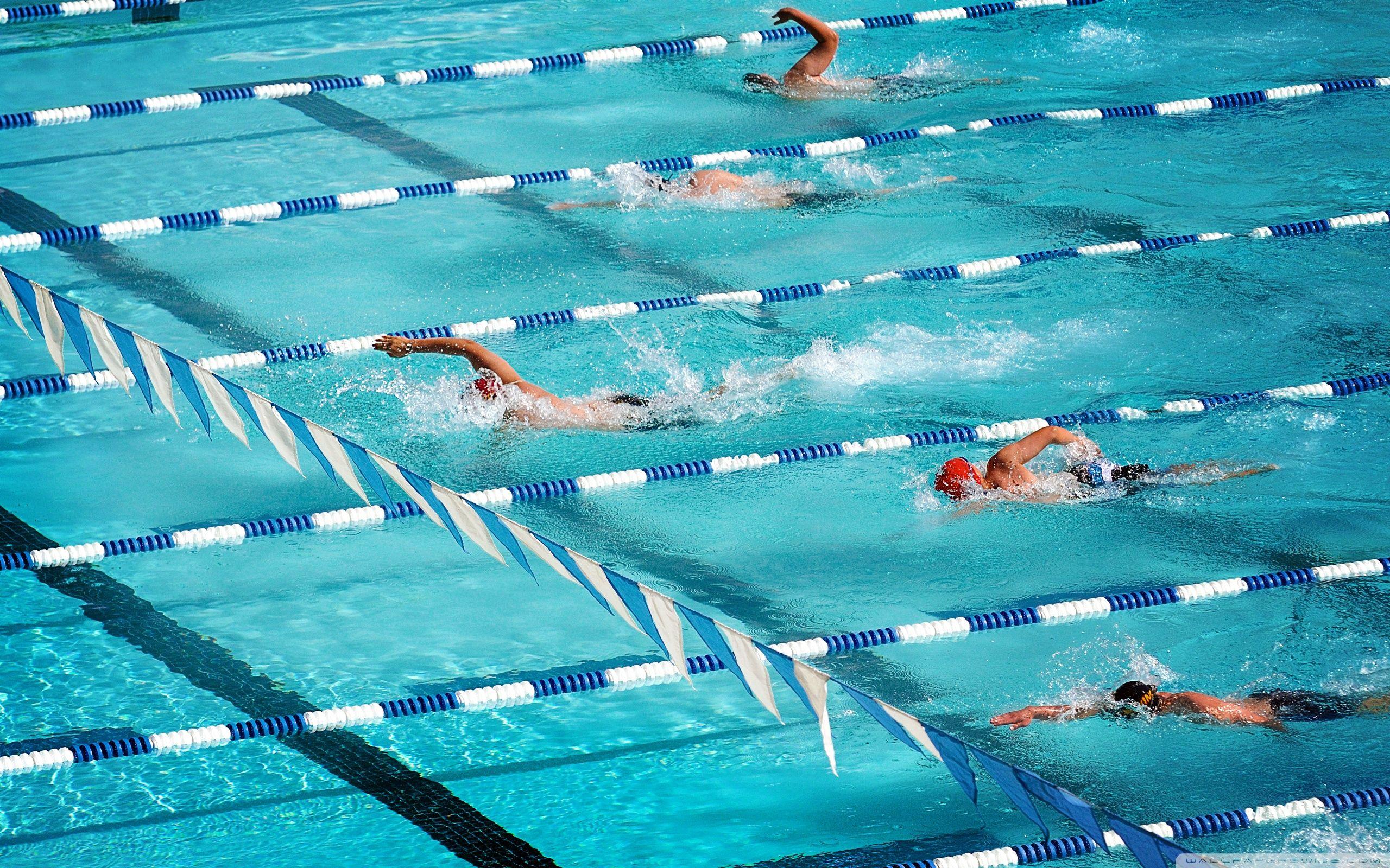 2560x1600 Swimmers Wallpaper